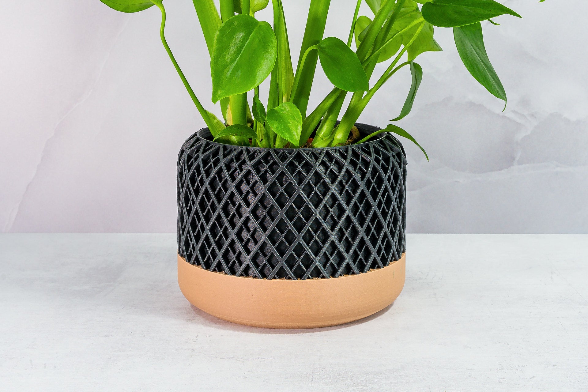 Zoomed In with Monstera: "Close-up of HATCH planter with wood base and carbon fibre pattern, featuring a monstera plant."
