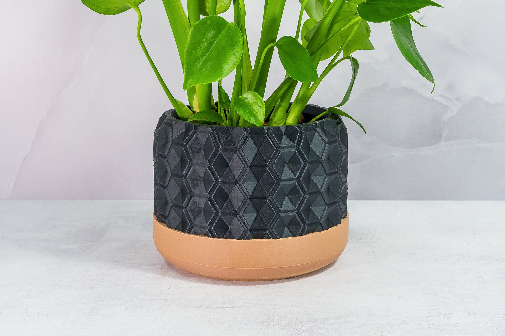 Zoomed In with Monstera: "Close-up of HEXA planter with wood base and carbon fibre pattern, featuring a monstera plant."
