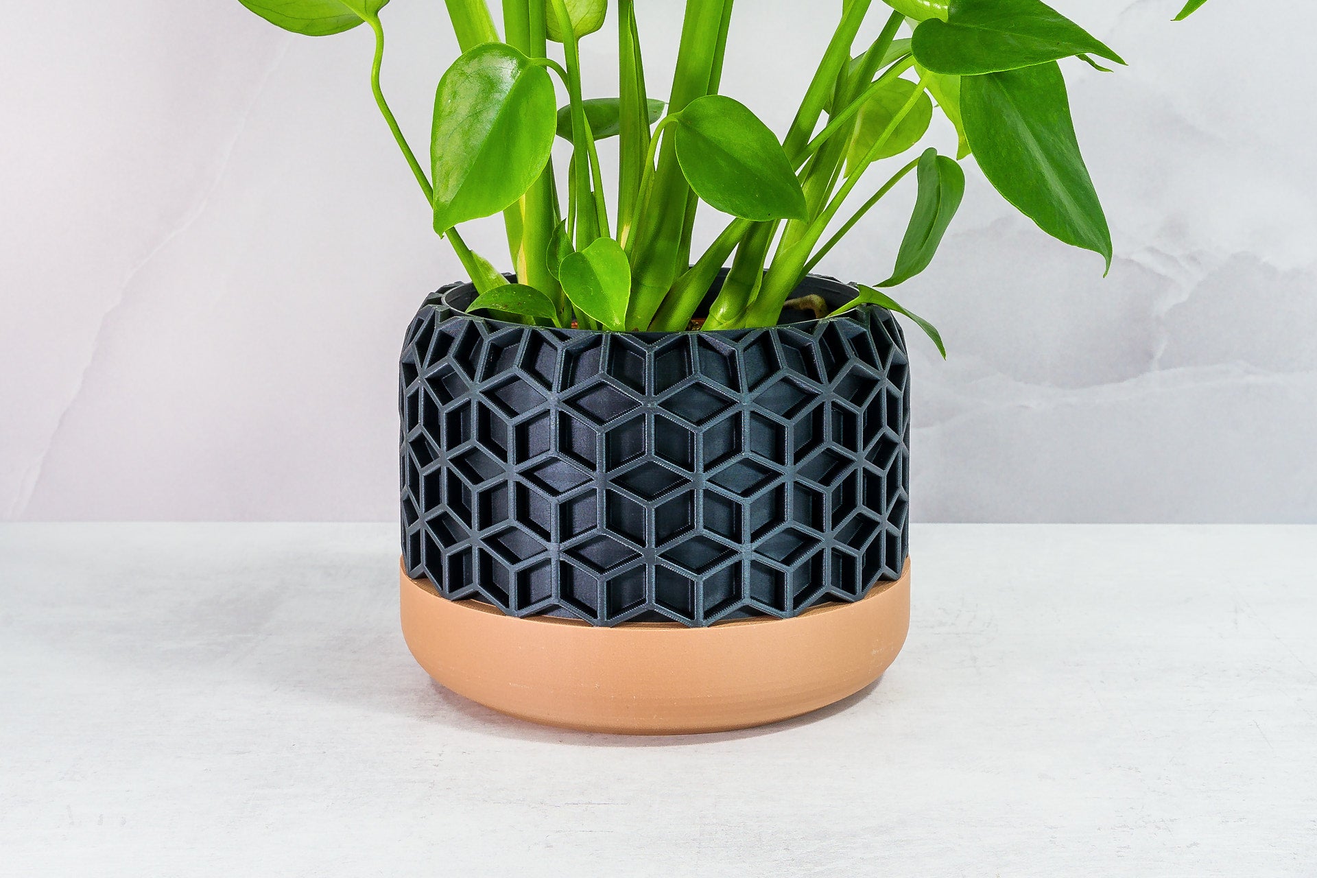 Zoomed In with Monstera: "Close-up of HONEYCOMB planter with wood base and carbon fibre pattern, featuring a monstera plant."
