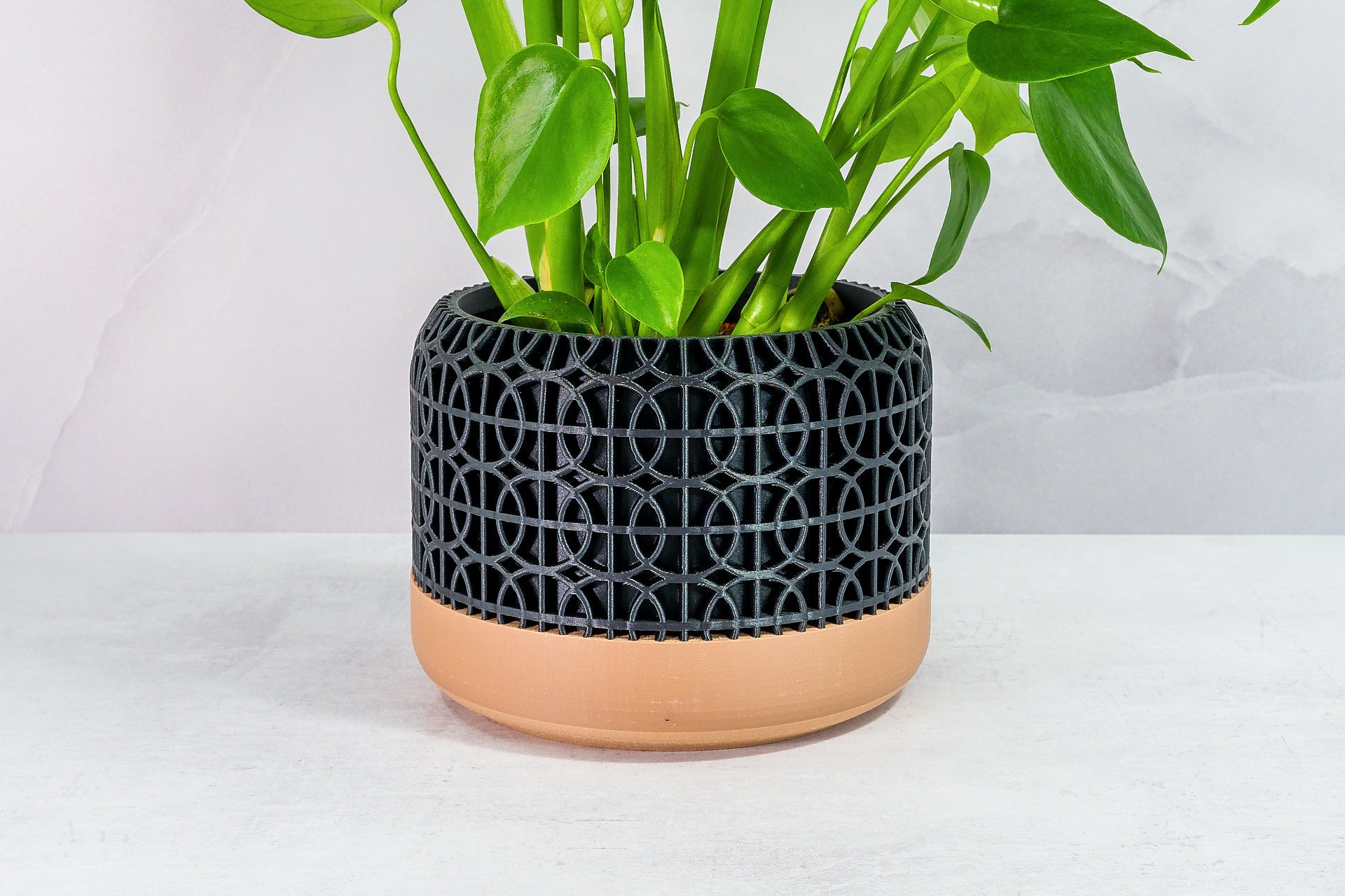 Zoomed In with Monstera: "Close-up of INTERSECT planter with wood base and carbon fibre pattern, featuring a monstera plant."
