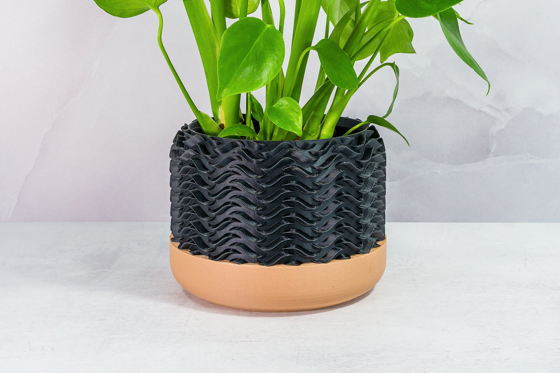 Zoomed In with Monstera: "Close-up of TIDAL planter with wood base and carbon fibre pattern, featuring a monstera plant."
