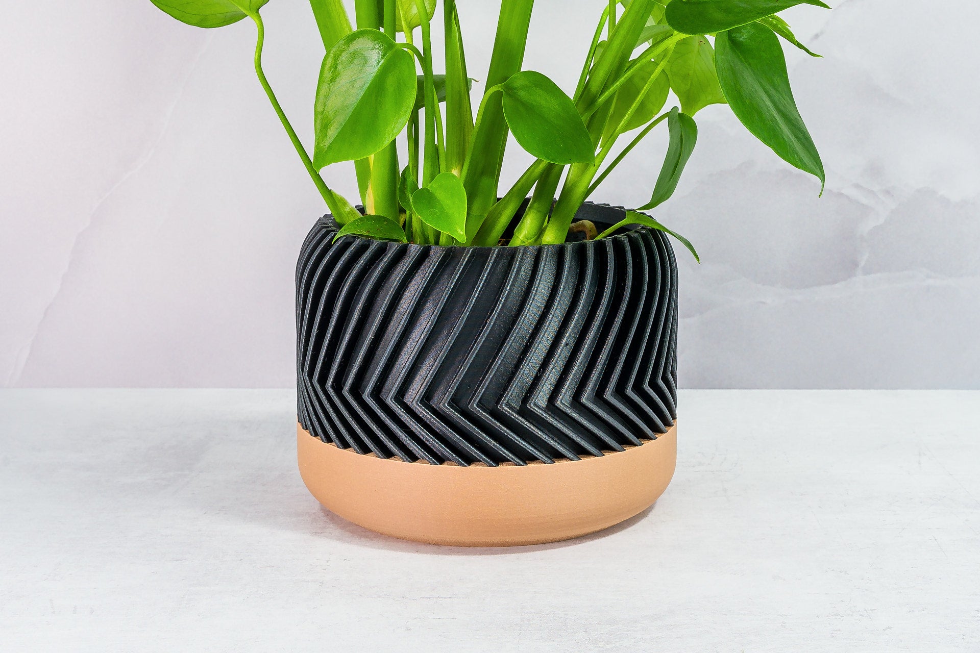 Zoomed In with Monstera: "Close-up of TREAD planter with wood base and carbon fibre pattern, featuring a monstera plant."
