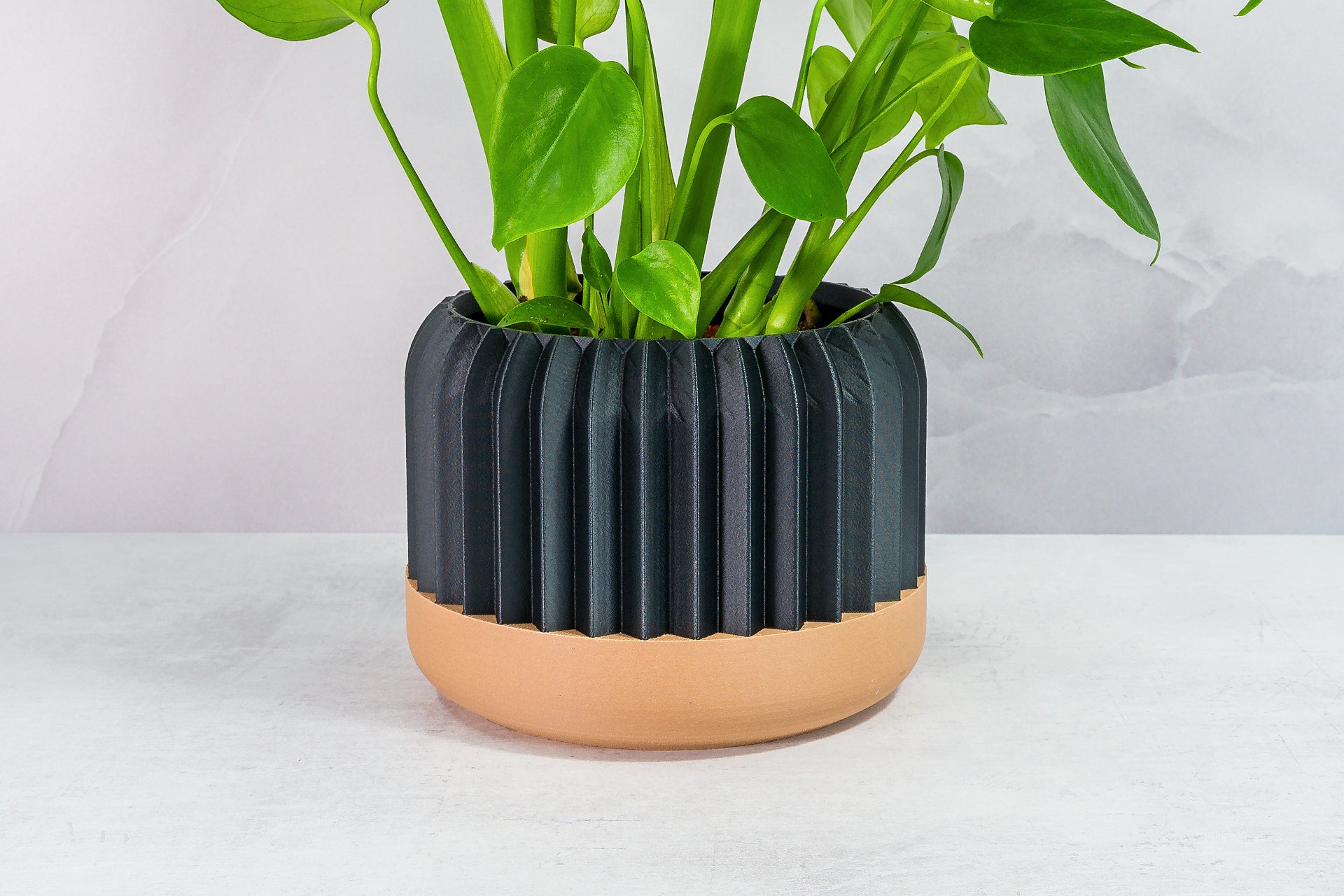 Zoomed In with Monstera: "Close-up of TRILINEAR planter with wood base and carbon fibre pattern, featuring a monstera plant."
