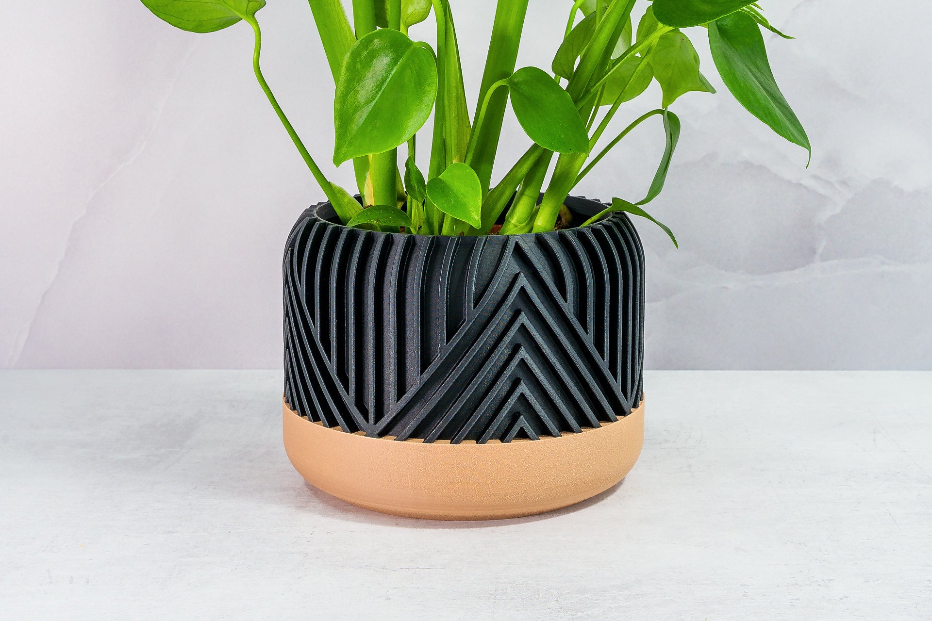 Zoomed In with Monstera: "Close-up of VERTI planter with wood base and carbon fibre pattern, featuring a monstera plant."
