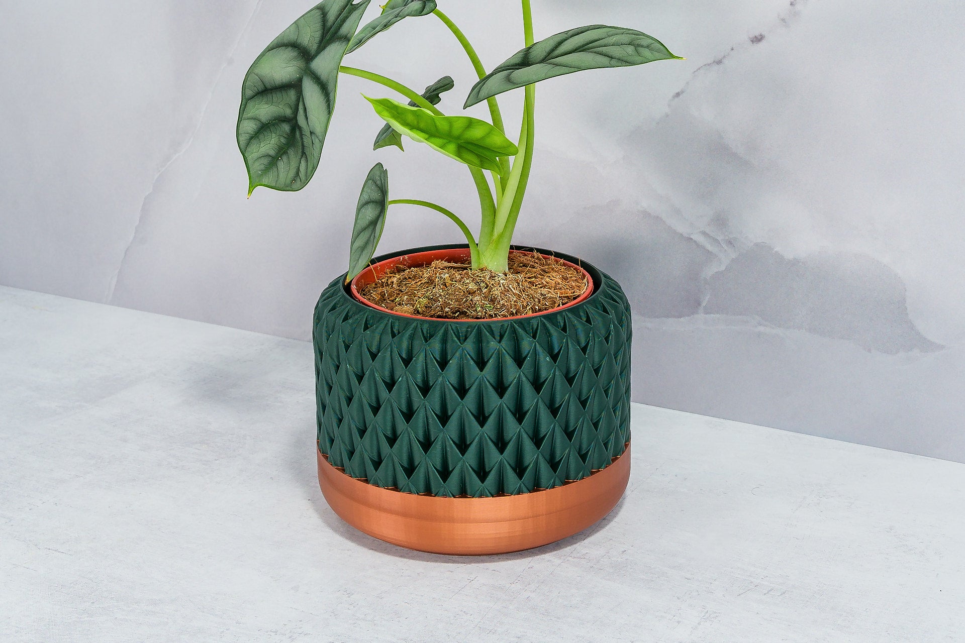 Angled with Alocasia: "Side angle of ANANAS planter with copper base and forest pattern, displaying an alocasia plant."
