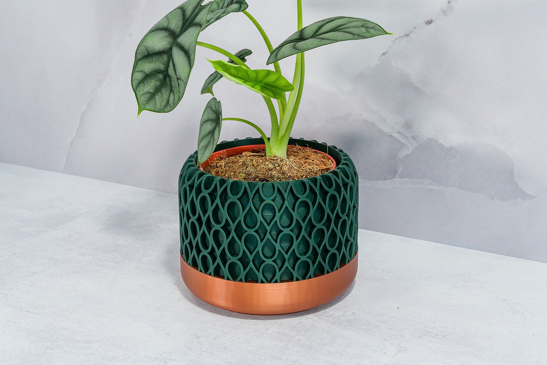 Angled with Alocasia: "Side angle of DROPLET planter with copper base and forest pattern, displaying an alocasia plant."
