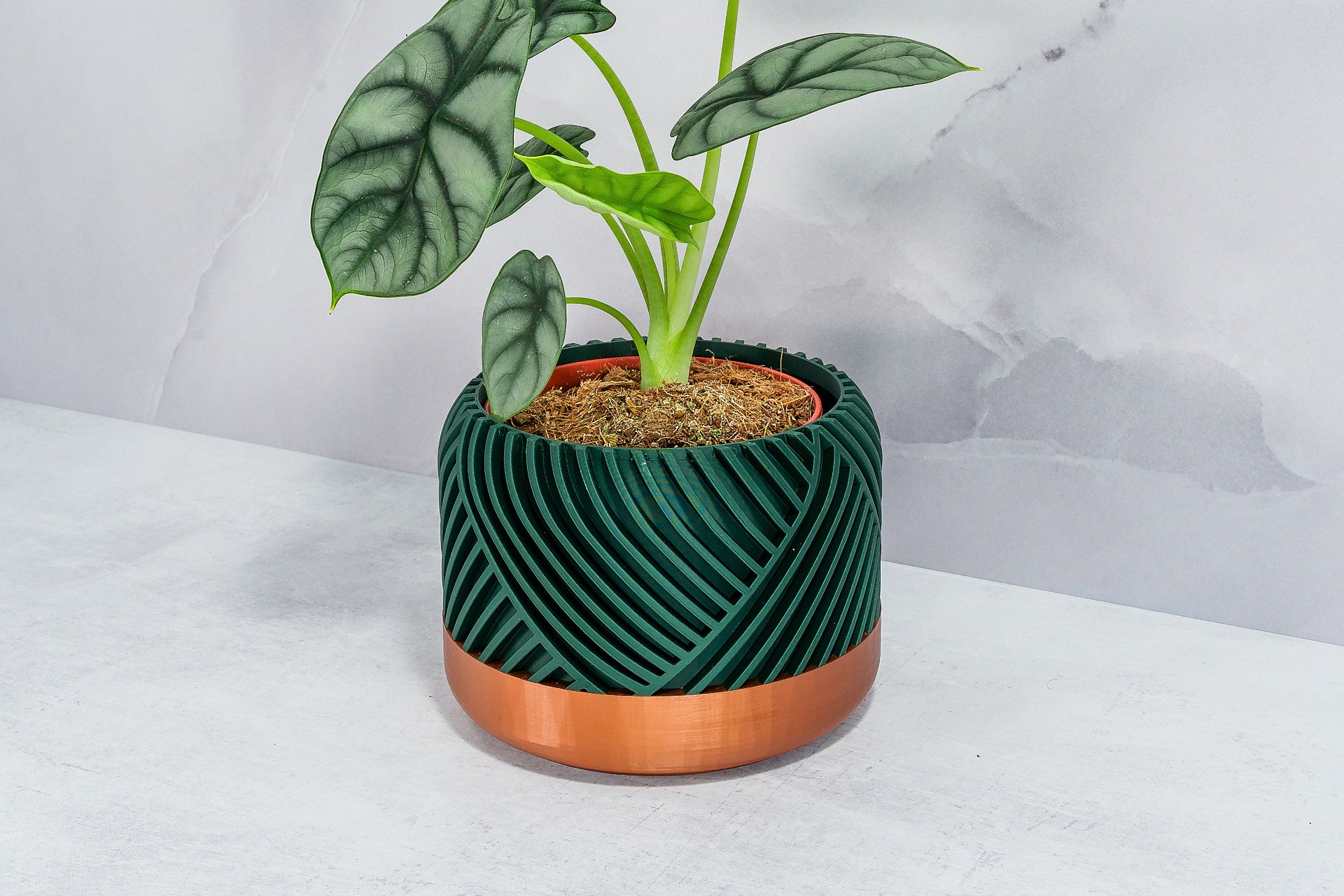 Front Facing: "PEAK planter with copper base and deep green forest pattern, front view."
