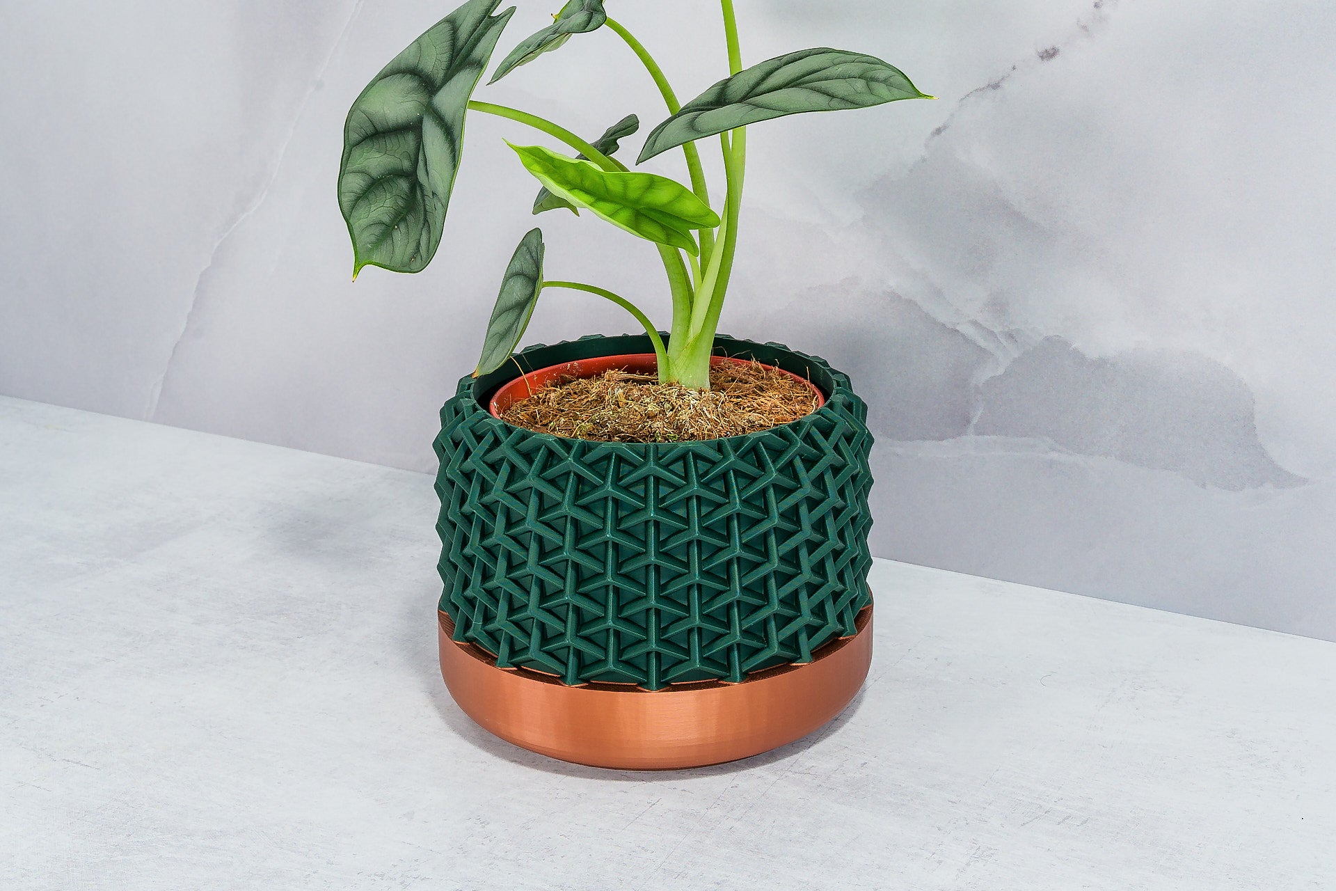 Angled with Alocasia: "Side angle of STELLAR planter with copper base and forest pattern, displaying an alocasia plant."
