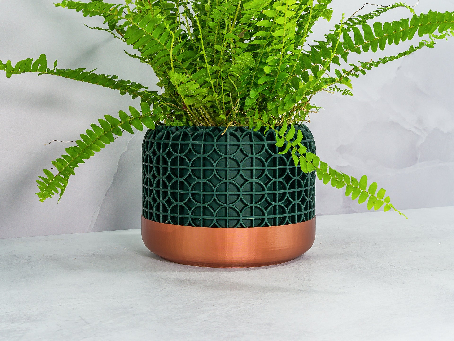 Angled with Fern: "Angled view of CROSSORB planter with copper base and forest pattern, showcasing a fern plant."
