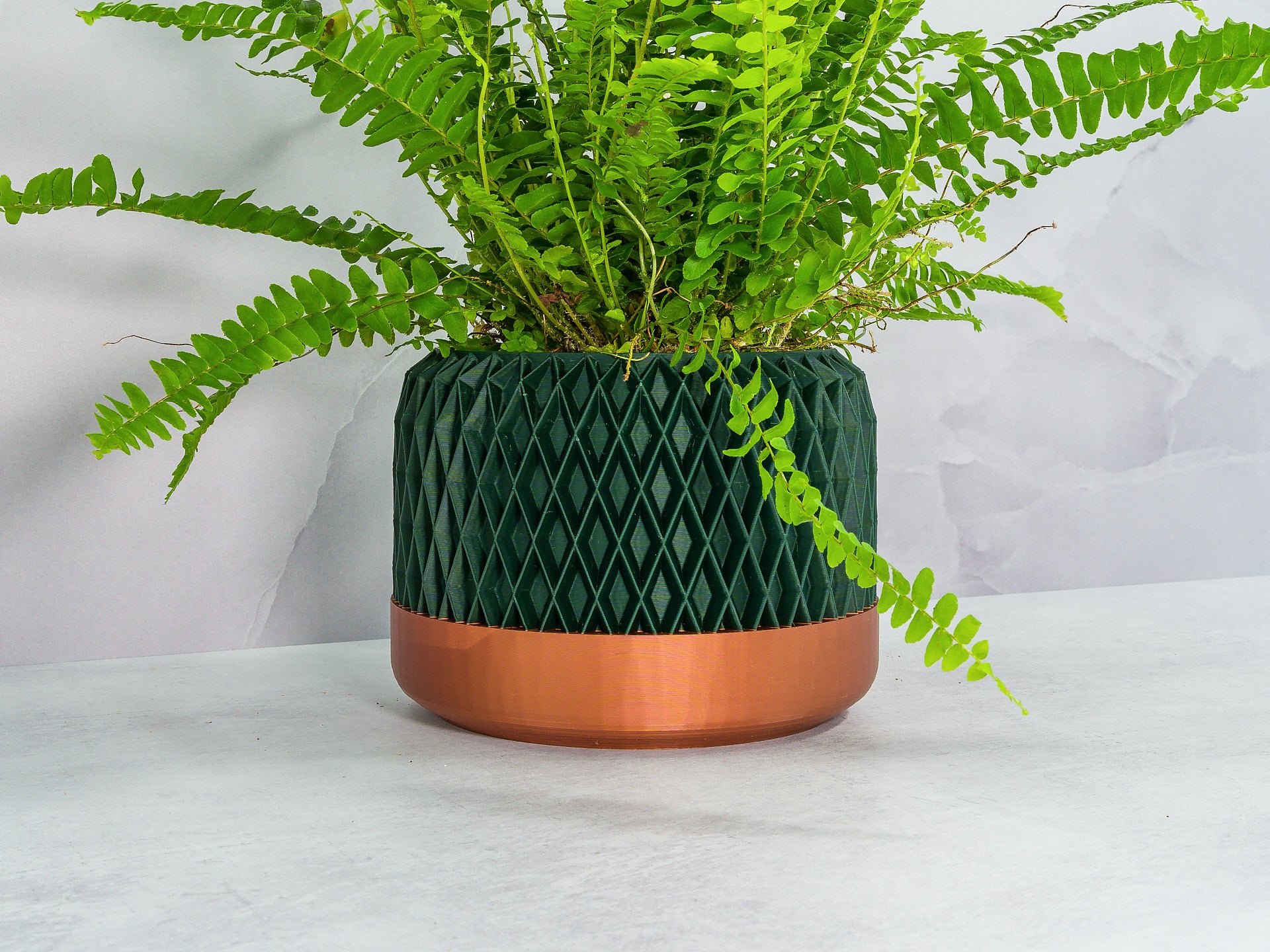 Angled with Fern: "Angled view of DIAM planter with copper base and forest pattern, showcasing a fern plant."
