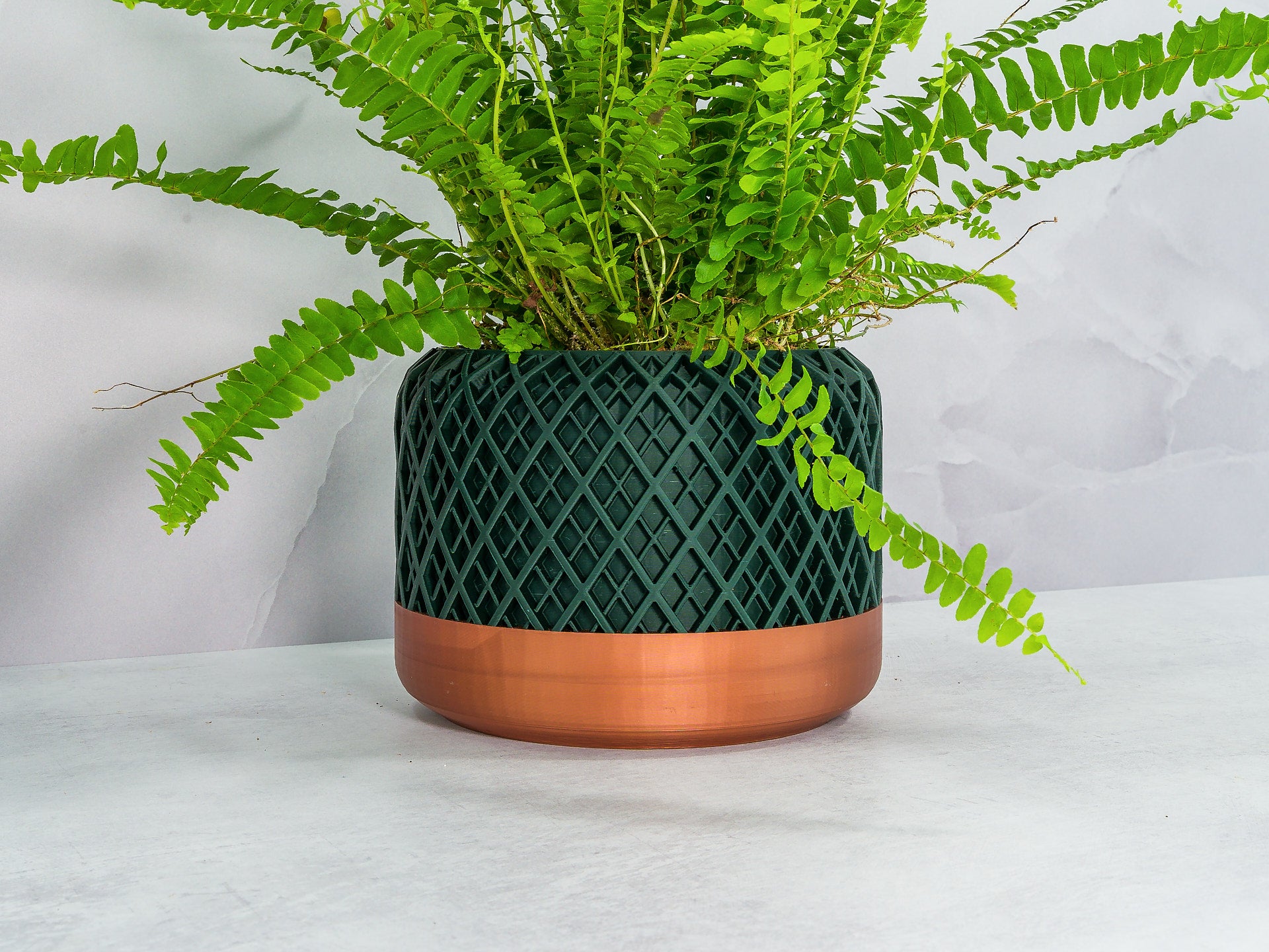 Angled with Fern: "Angled view of HATCH planter with copper base and forest pattern, showcasing a fern plant."
