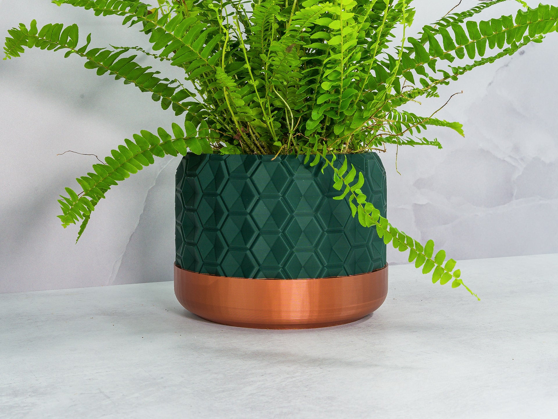 Angled with Fern: "Angled view of HEXA planter with copper base and forest pattern, showcasing a fern plant."
