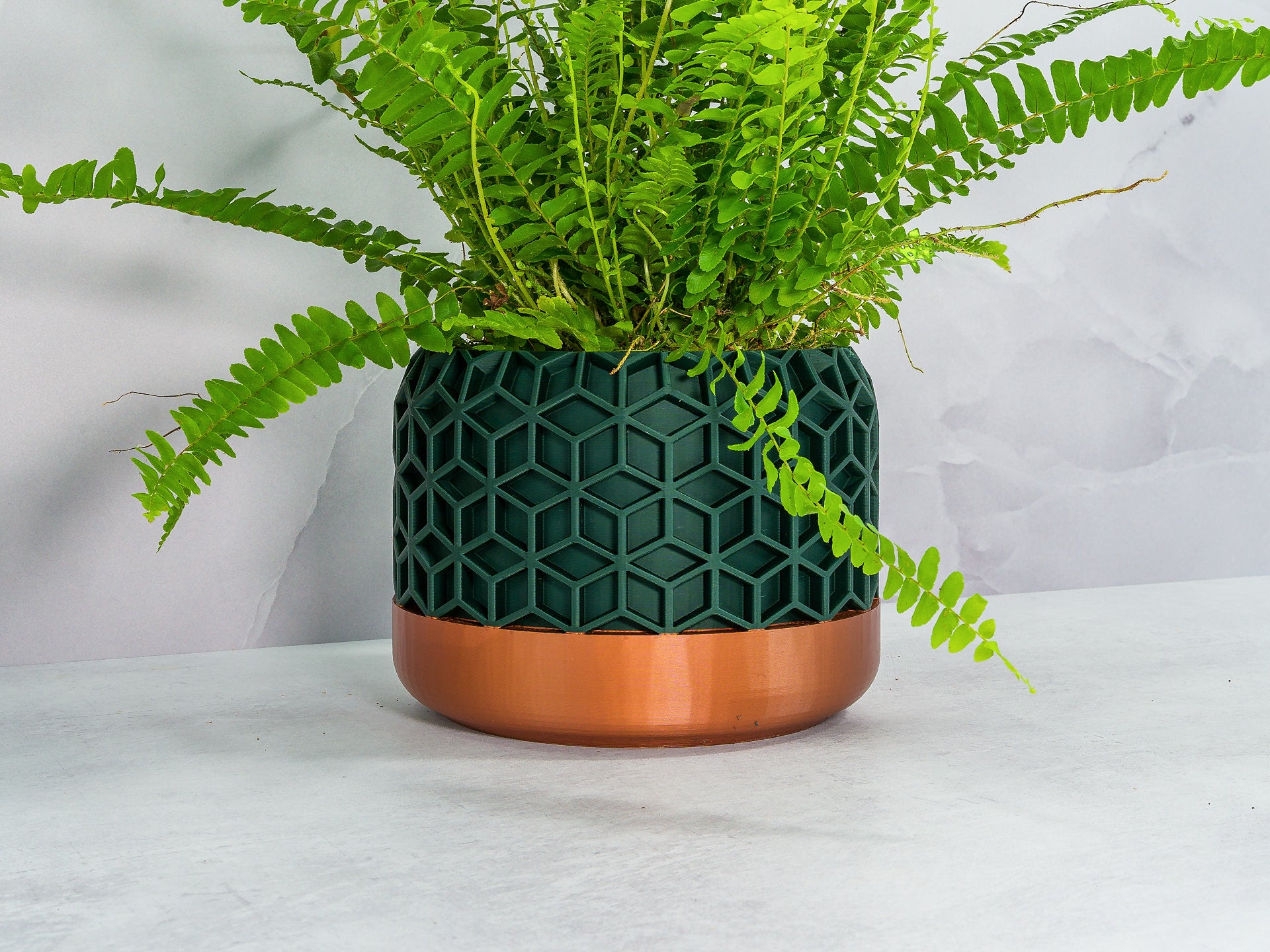 Angled with Fern: "Angled view of HONEYCOMB planter with copper base and forest pattern, showcasing a fern plant."
