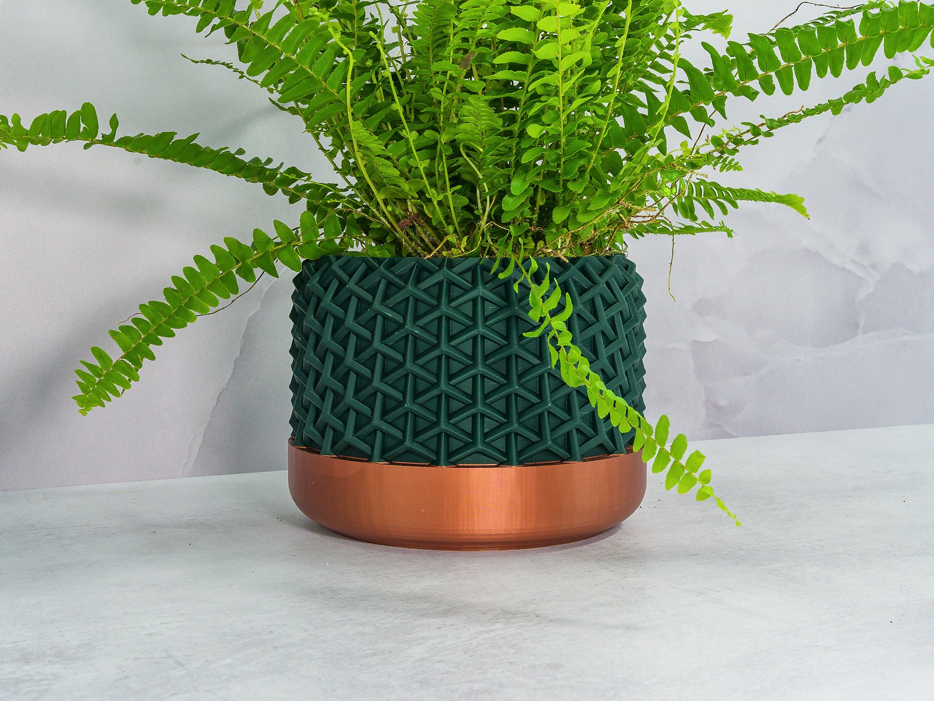 Angled with Fern: "Angled view of STELLAR planter with copper base and forest pattern, showcasing a fern plant."
