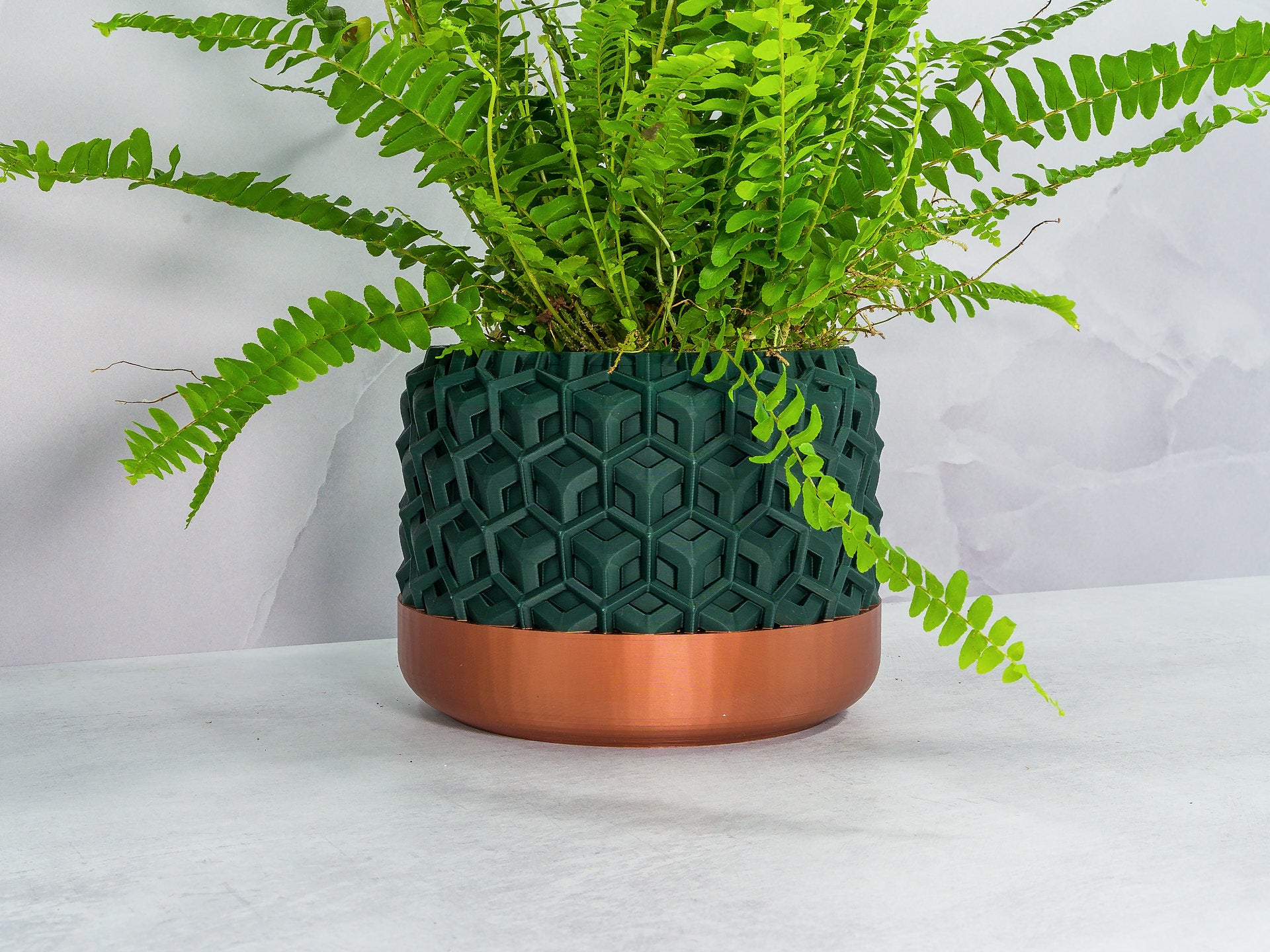 Angled with Fern: "Angled view of TRANSFORM planter with copper base and forest pattern, showcasing a fern plant."
