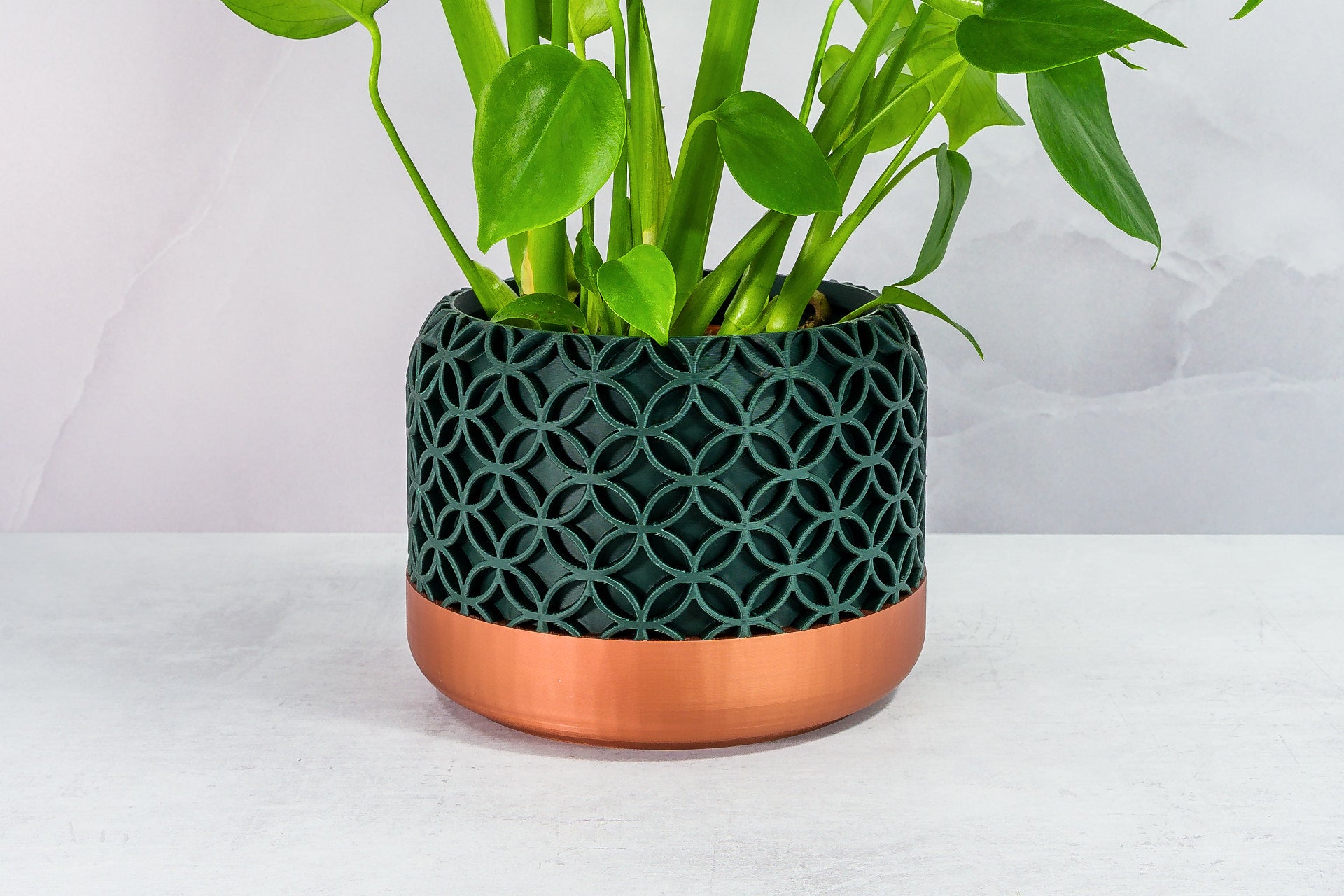 Zoomed In with Monstera: "Close-up of BLOSSOM planter with copper base and forest pattern, featuring a monstera plant."
