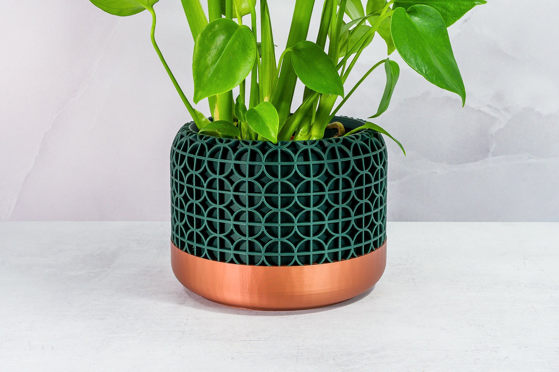 Zoomed In with Monstera: "Close-up of CROSSORB planter with copper base and forest pattern, featuring a monstera plant."
