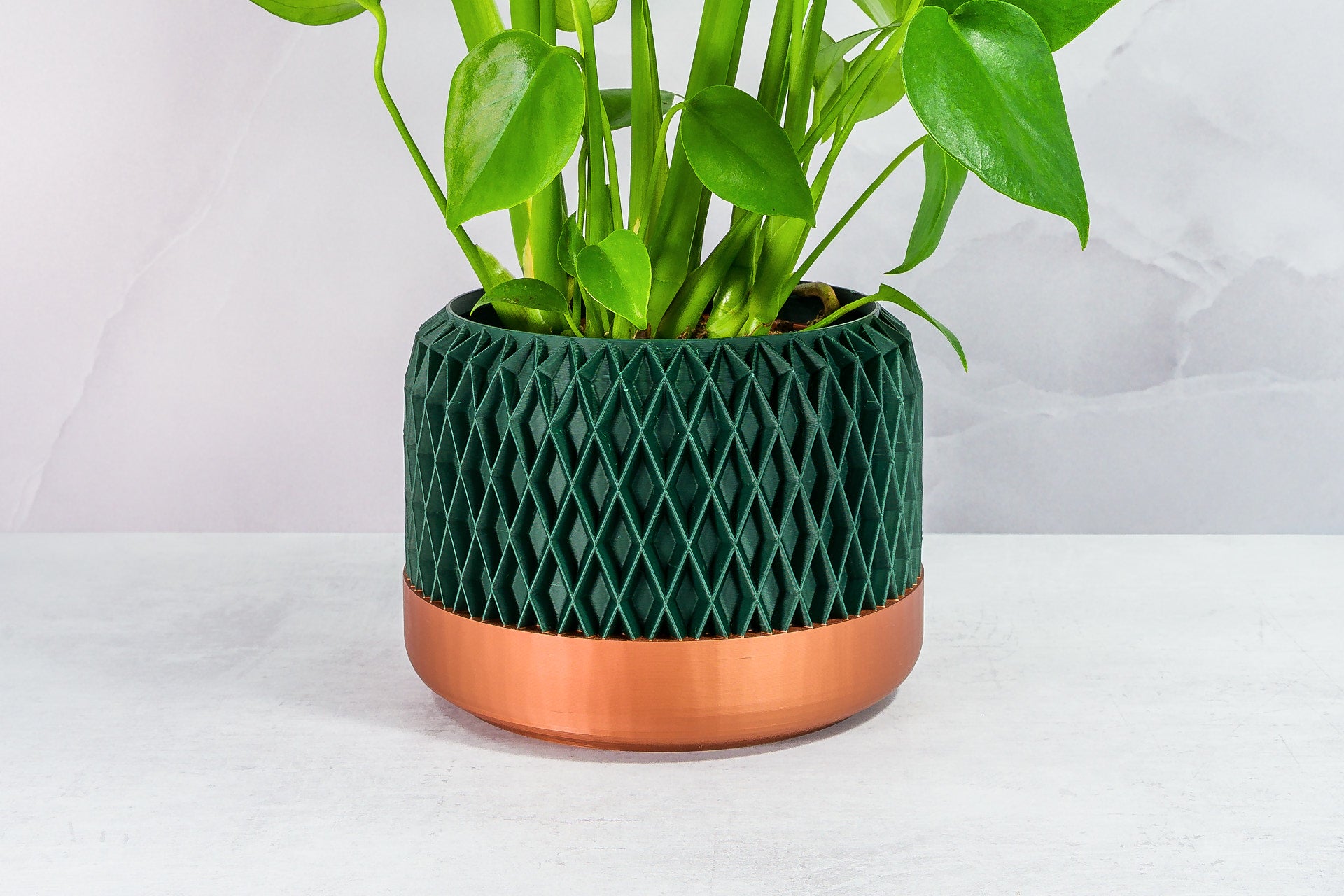 Zoomed In with Monstera: "Close-up of DIAM planter with copper base and forest pattern, featuring a monstera plant."
