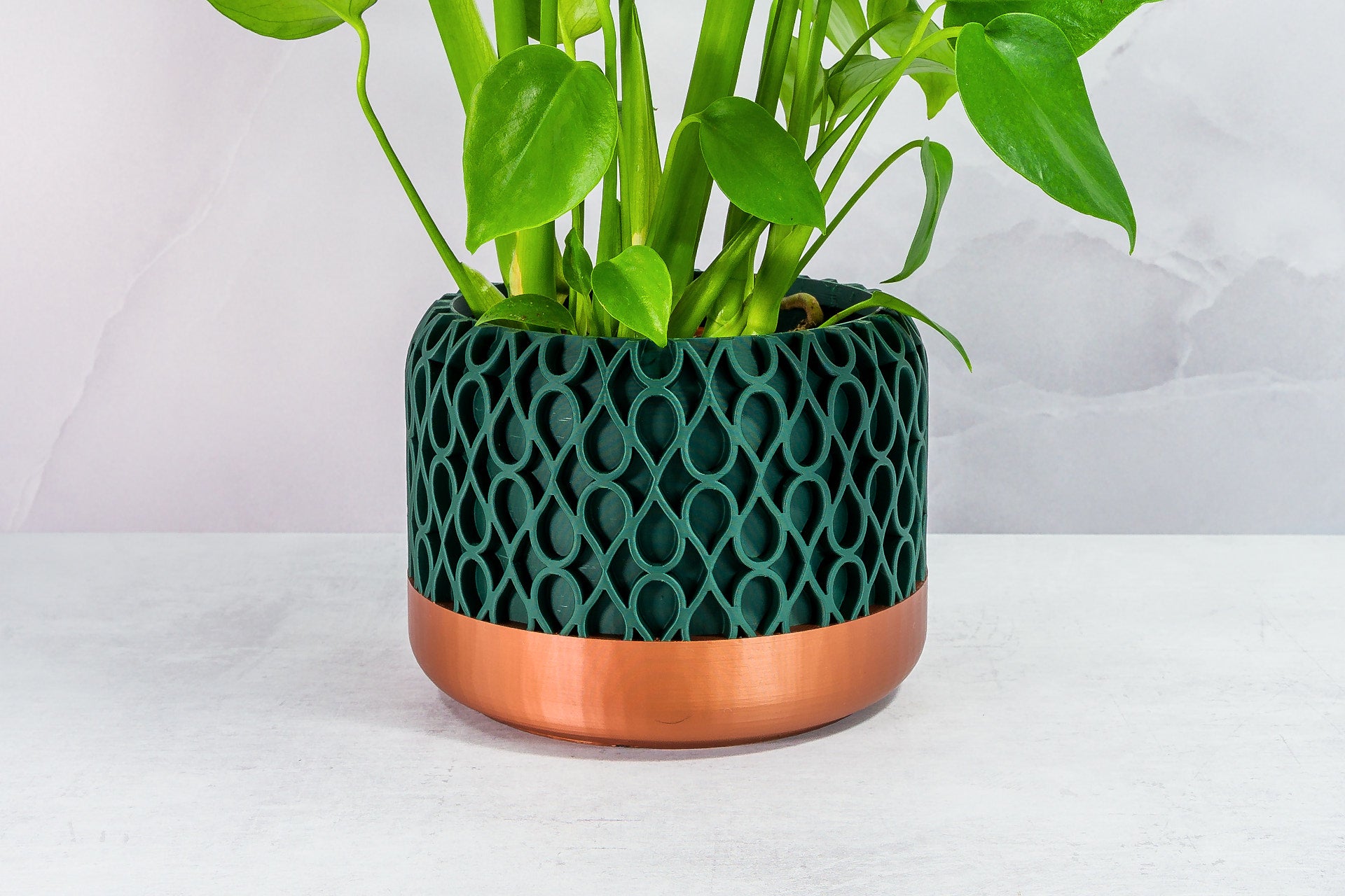 Angled with Alocasia: "Side angle of DROPLET planter with copper base and forest pattern, displaying an alocasia plant."
