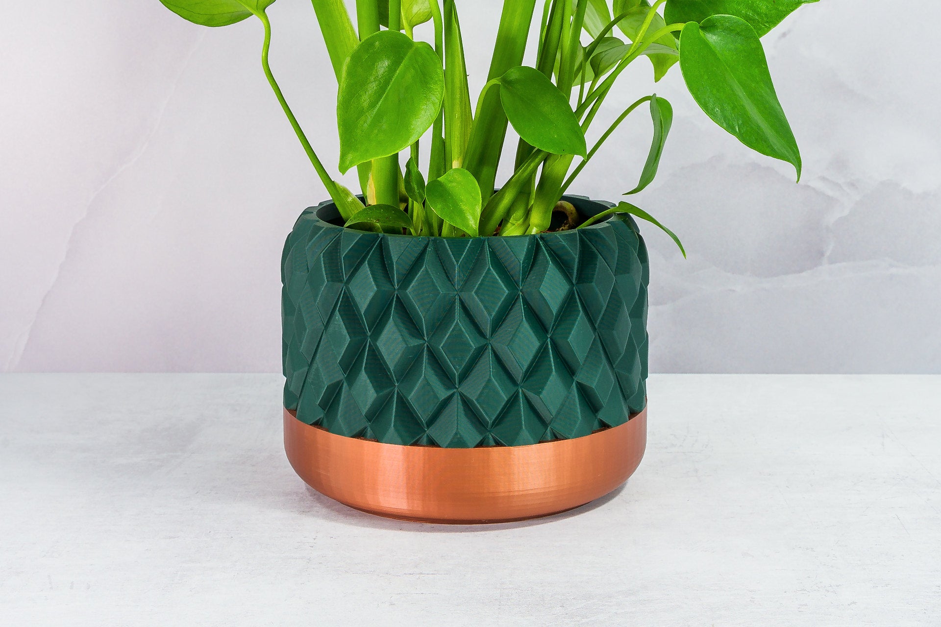 Zoomed In with Monstera: "Close-up of GEM planter with copper base and forest pattern, featuring a monstera plant."
