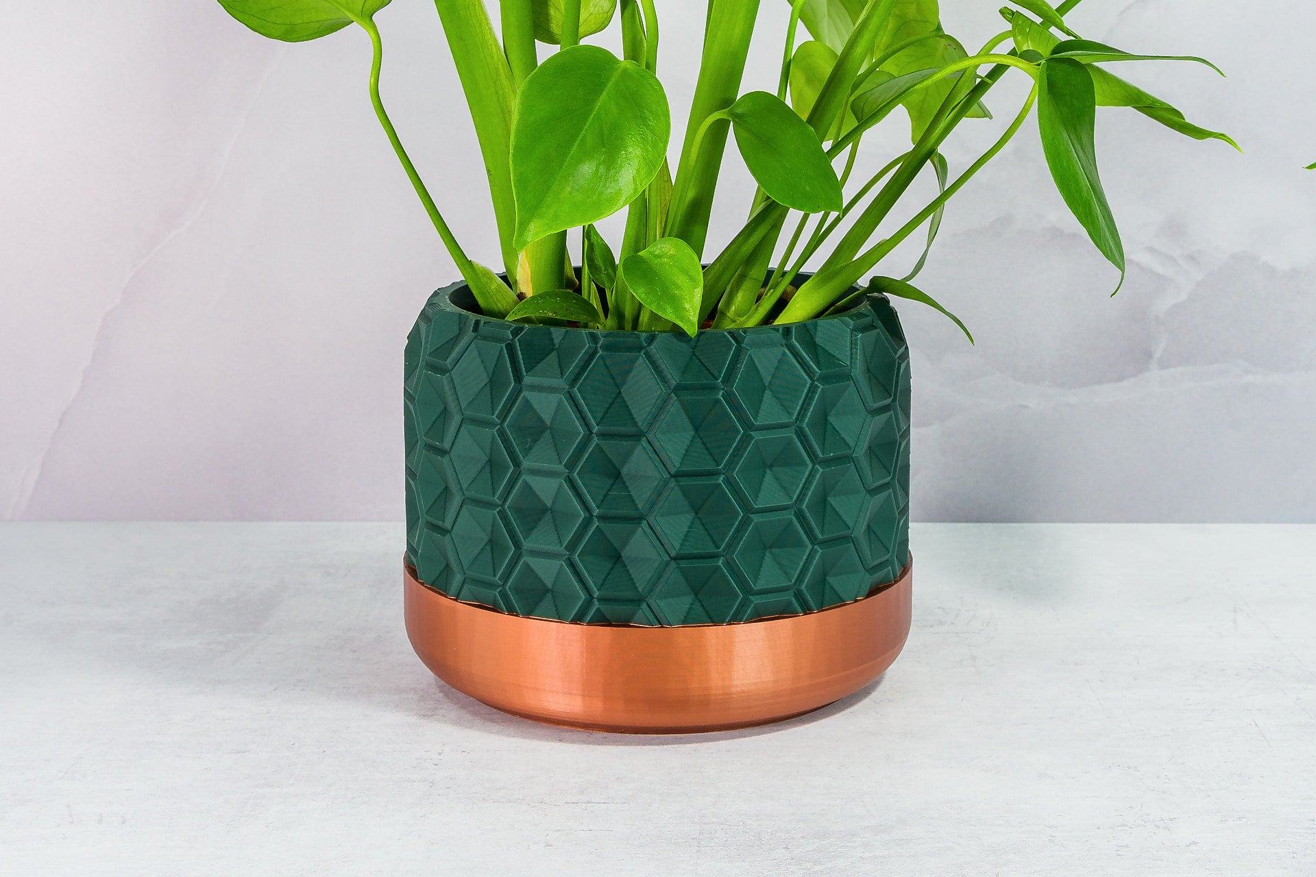 Zoomed In with Monstera: "Close-up of HEXA planter with copper base and forest pattern, featuring a monstera plant."
