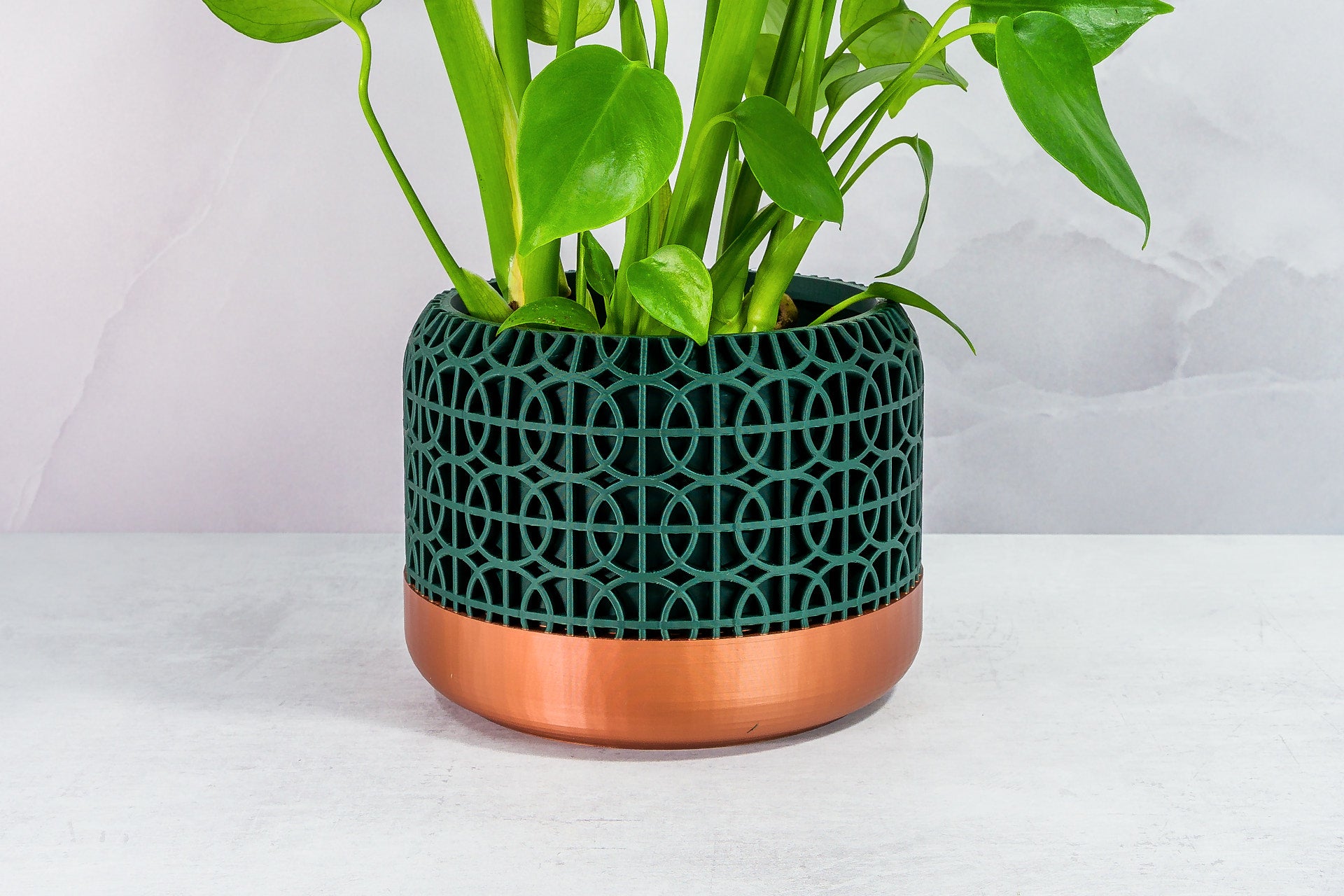 Zoomed In with Monstera: "Close-up of INTERSECT planter with copper base and forest pattern, featuring a monstera plant."
