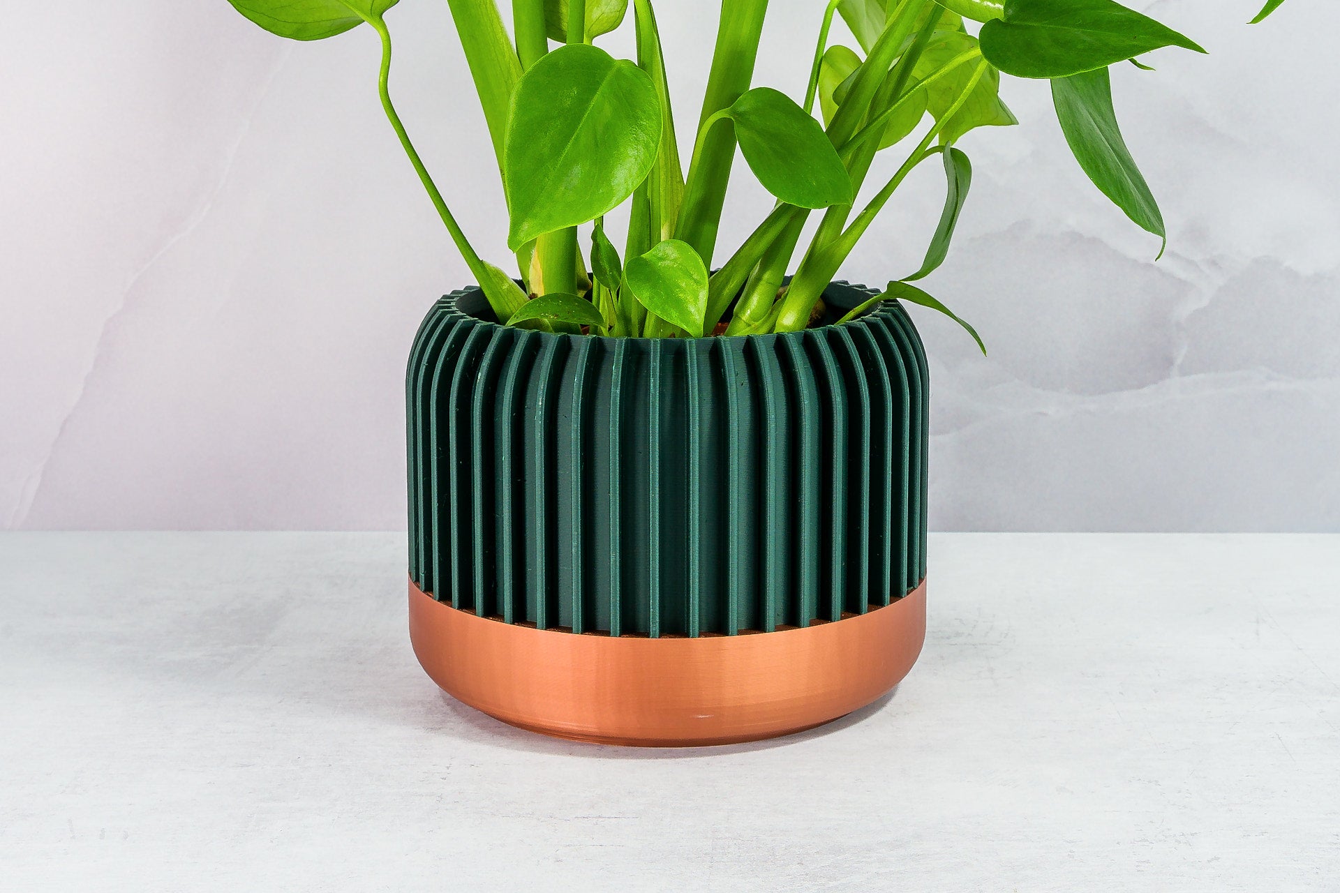 Zoomed In with Monstera: "Close-up of LINEAR planter with copper base and forest pattern, featuring a monstera plant."
