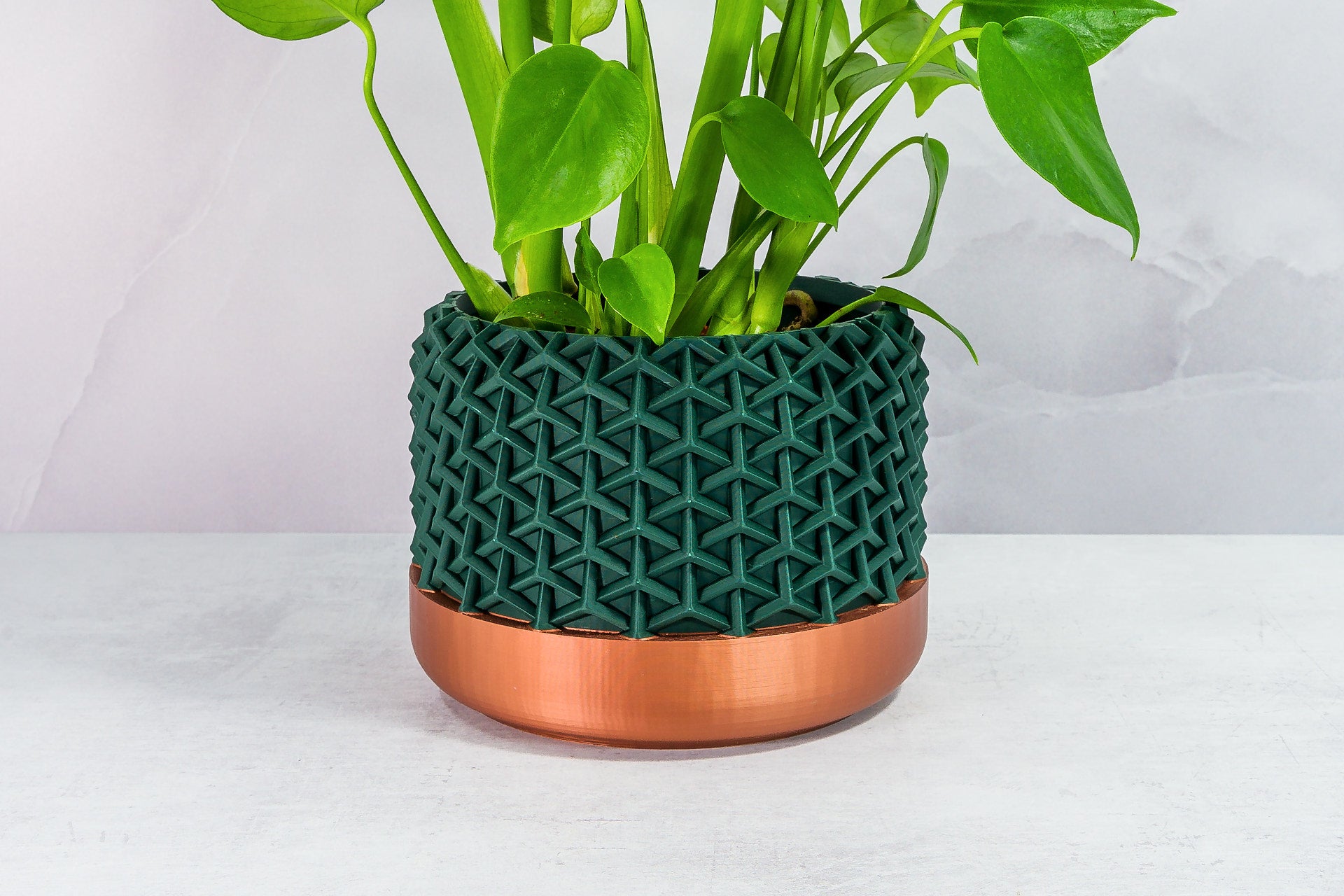 Zoomed In with Monstera: "Close-up of STELLAR planter with copper base and forest pattern, featuring a monstera plant."
