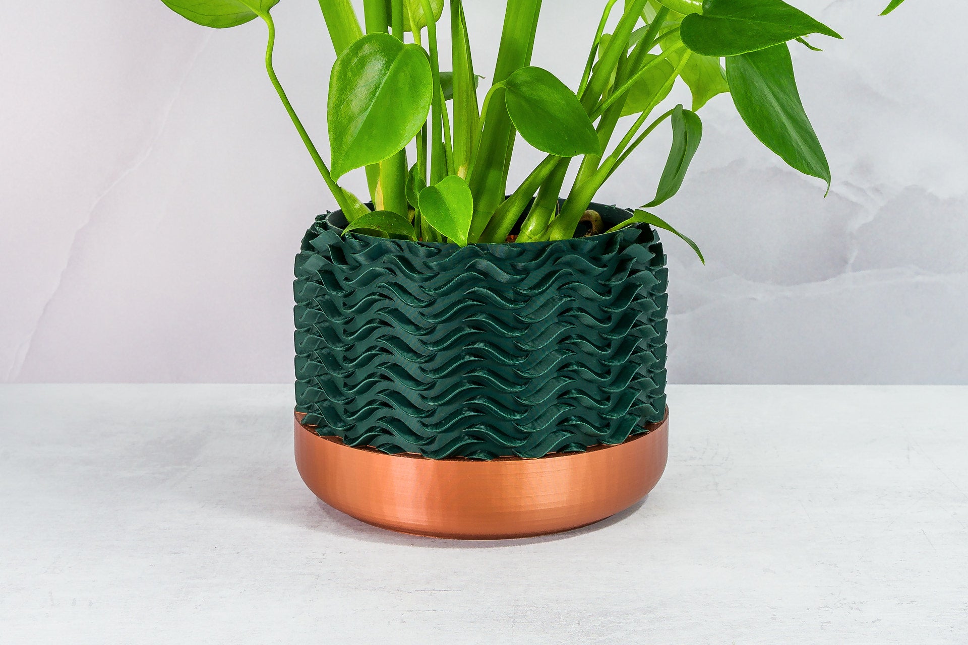 Zoomed In with Monstera: "Close-up of TIDAL planter with copper base and forest pattern, featuring a monstera plant."
