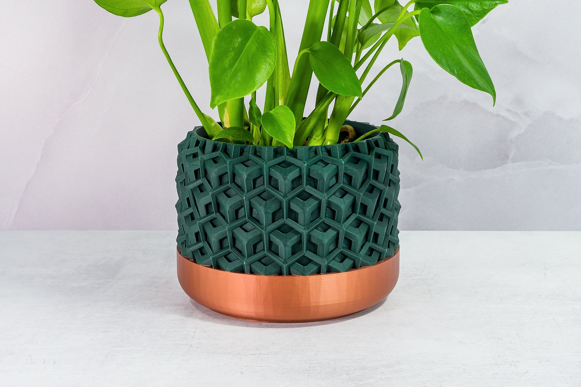 Zoomed In with Monstera: "Close-up of TRANSFORM planter with copper base and forest pattern, featuring a monstera plant."
