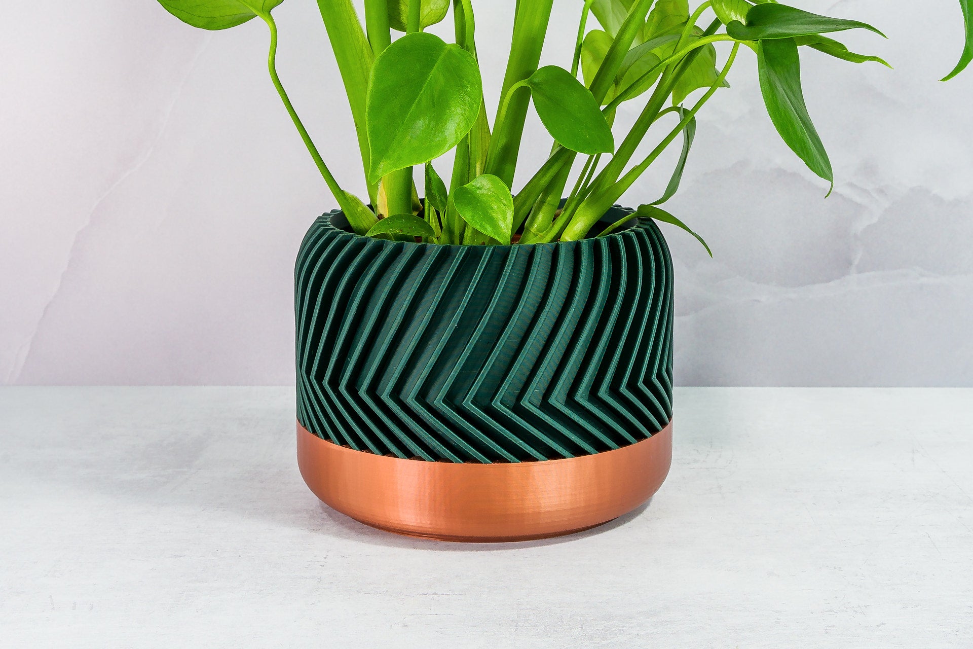 Zoomed In with Monstera: "Close-up of TREAD planter with copper base and forest pattern, featuring a monstera plant."
