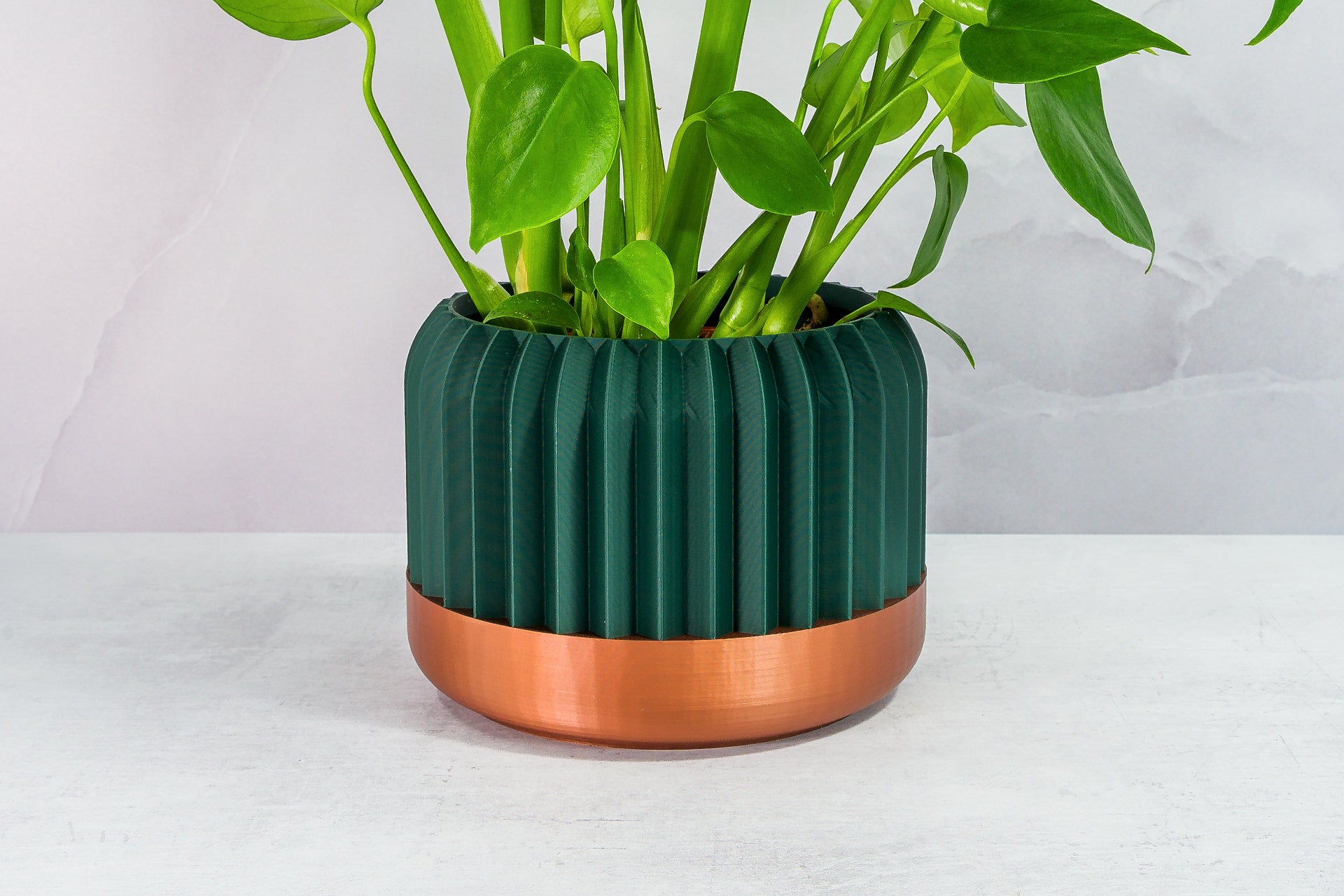 Zoomed In with Monstera: "Close-up of TRILINEAR planter with copper base and forest pattern, featuring a monstera plant."
