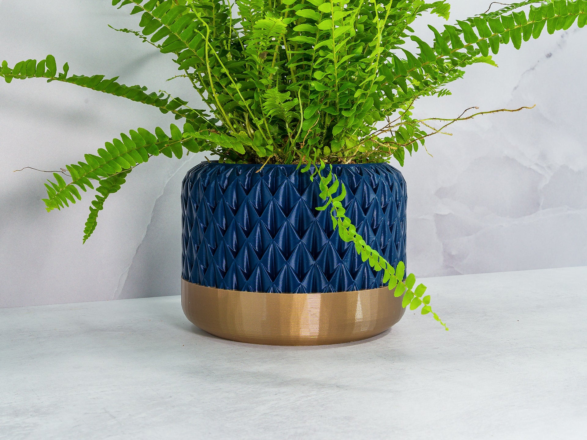 Angled with Fern: "Angled view of ANANAS planter with gold base and navy pattern, showcasing a fern plant."
