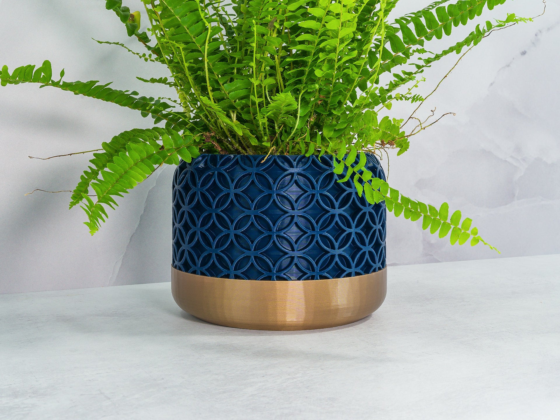 Angled with Fern: "Angled view of BLOSSOM planter with gold base and navy pattern, showcasing a fern plant."
