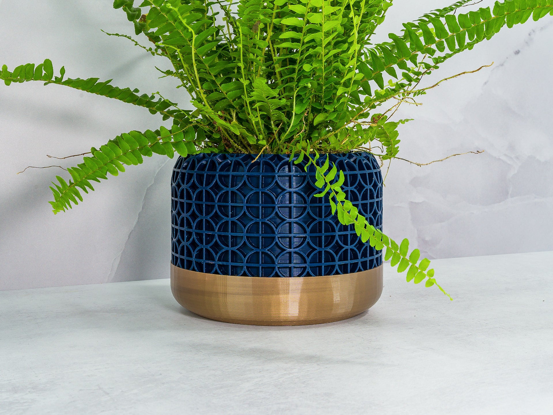 Angled with Fern: "Angled view of CROSSORB planter with gold base and navy pattern, showcasing a fern plant."
