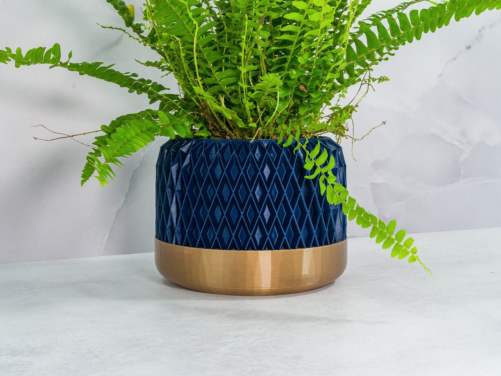 Angled with Fern: "Angled view of DIAM planter with gold base and navy pattern, showcasing a fern plant."
