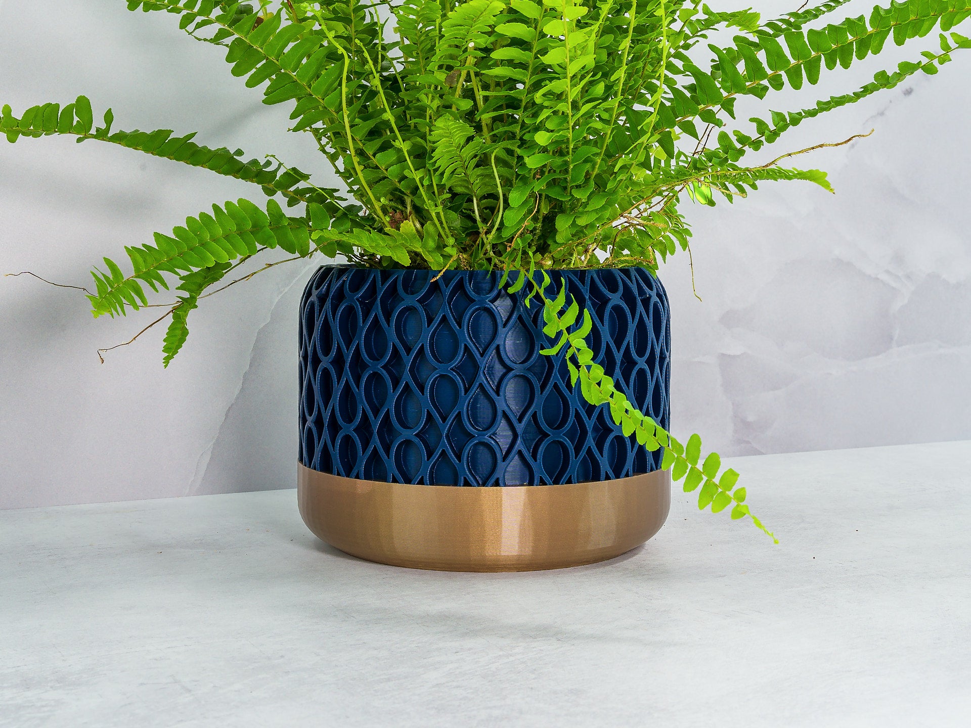 Angled with Fern: "Angled view of DROPLET planter with gold base and navy pattern, showcasing a fern plant."
