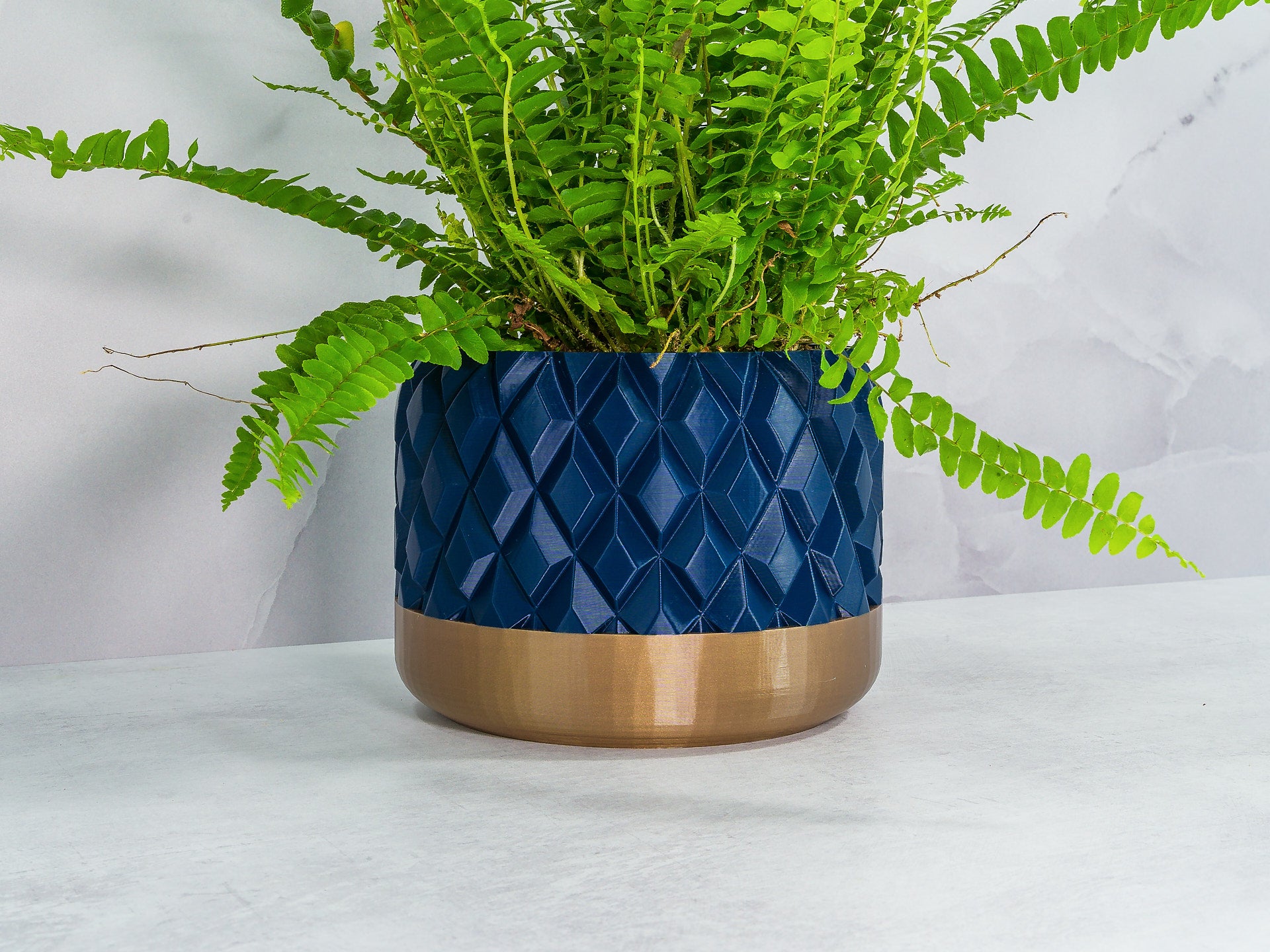 Angled with Fern: "Angled view of GEM planter with gold base and navy pattern, showcasing a fern plant."
