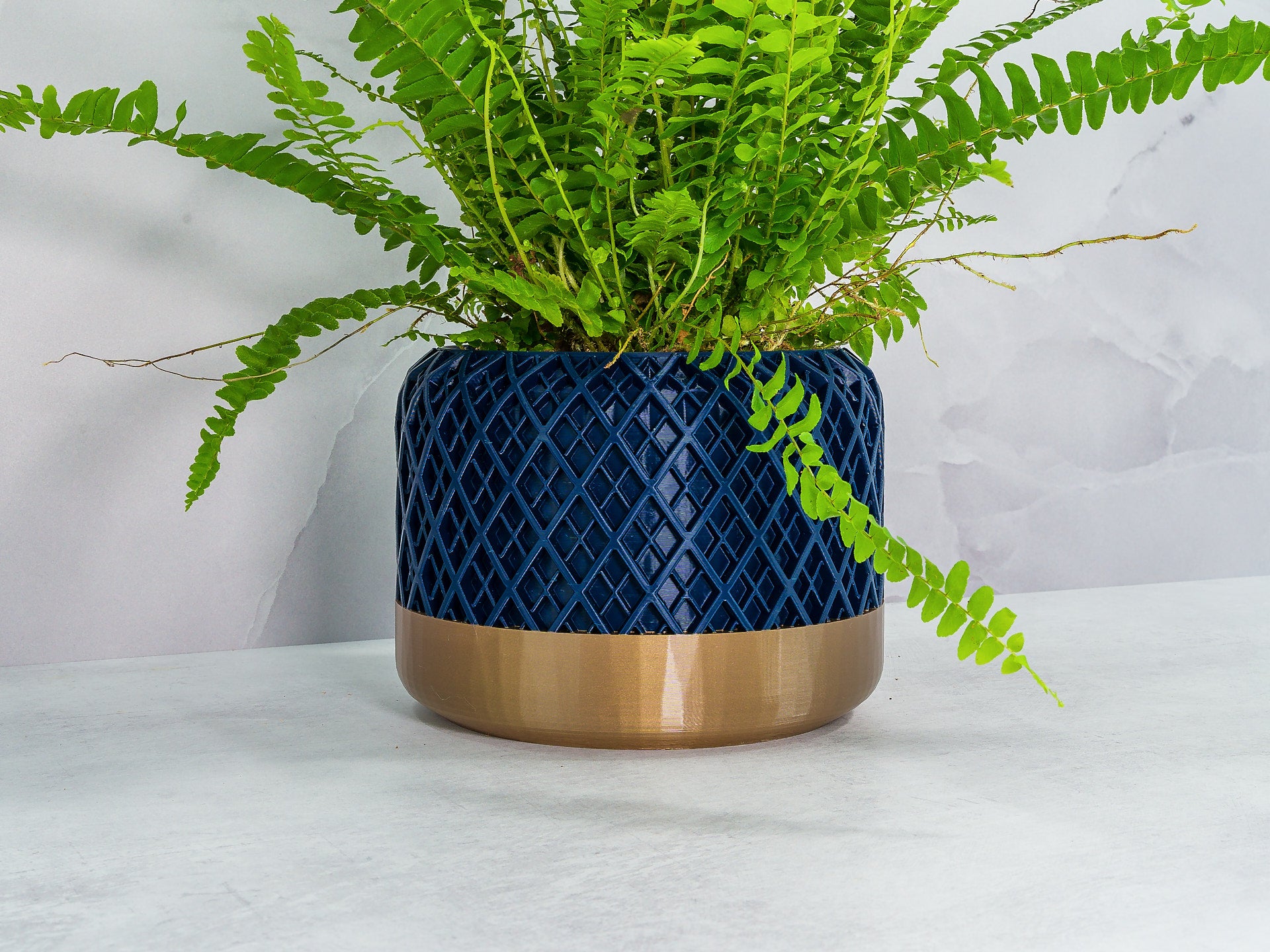 Angled with Fern: "Angled view of HATCH planter with gold base and navy pattern, showcasing a fern plant."
