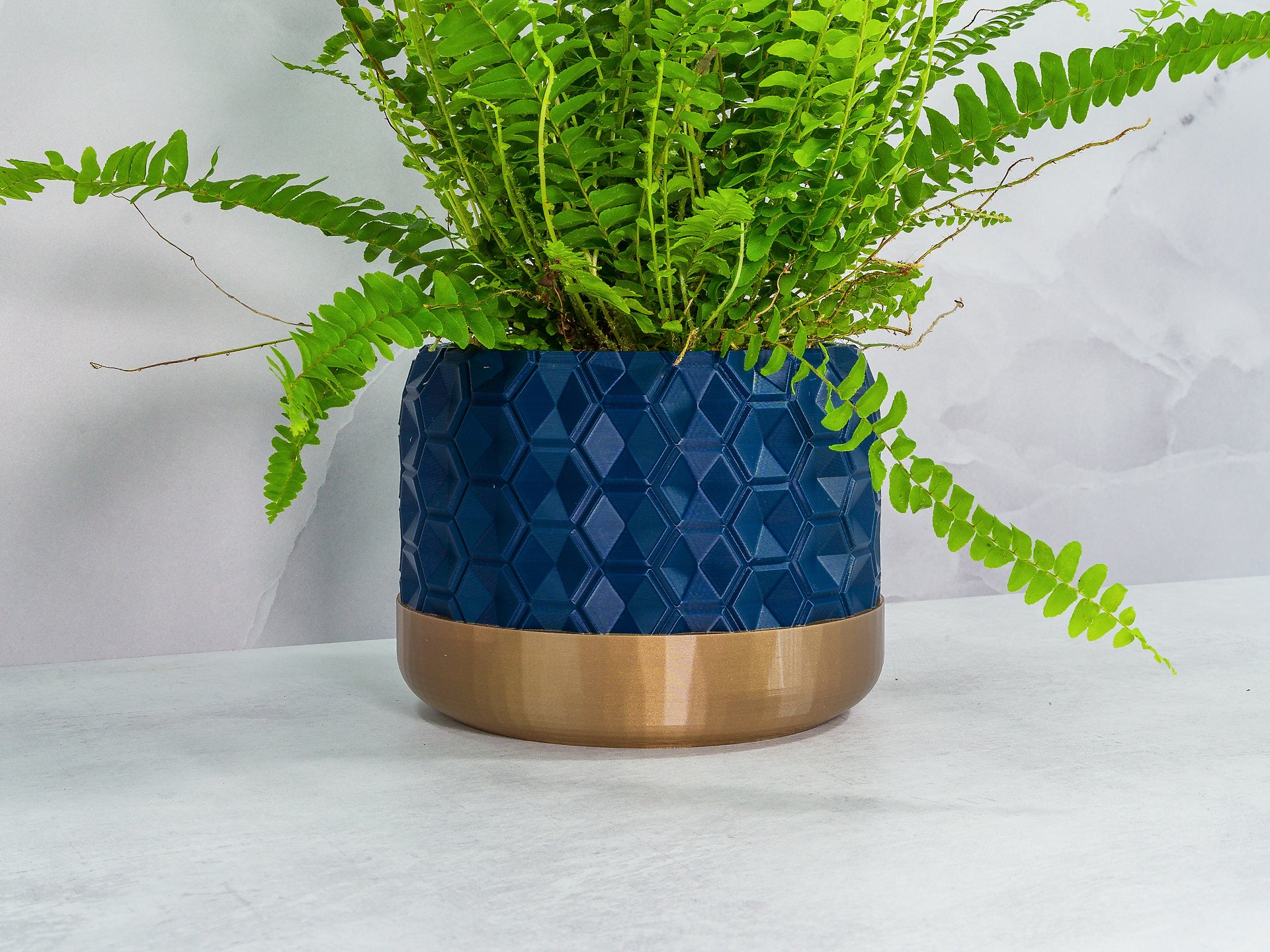 Angled with Fern: "Angled view of HEXA planter with gold base and navy pattern, showcasing a fern plant."
