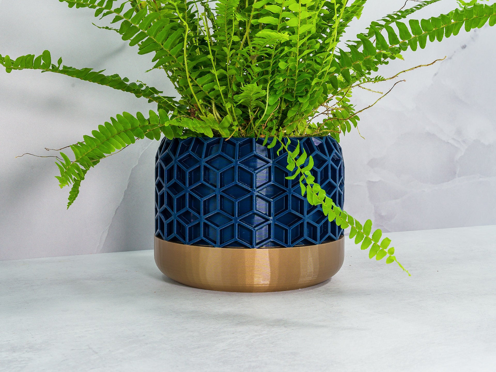 Angled with Fern: "Angled view of HONEYCOMB planter with gold base and navy pattern, showcasing a fern plant."
