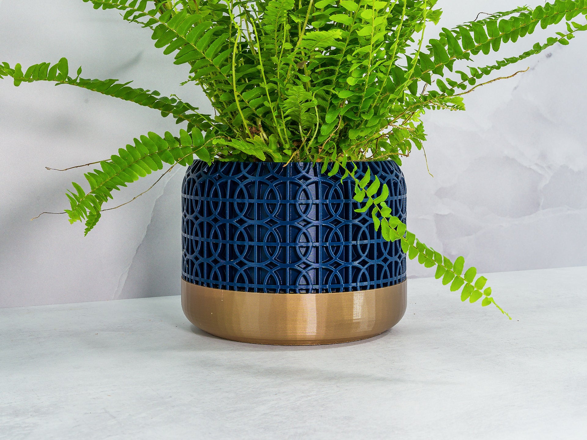 Angled with Fern: "Angled view of INTERSECT planter with gold base and navy pattern, showcasing a fern plant."
