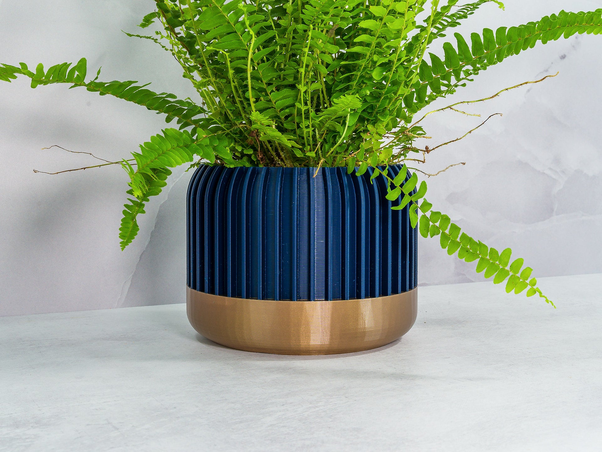 Angled with Fern: "Angled view of LINEAR planter with gold base and navy pattern, showcasing a fern plant."
