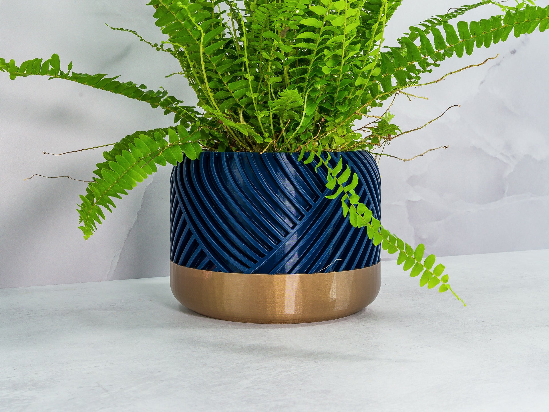 Angled with Fern: "Angled view of PEAK planter with gold base and navy pattern, showcasing a fern plant."
