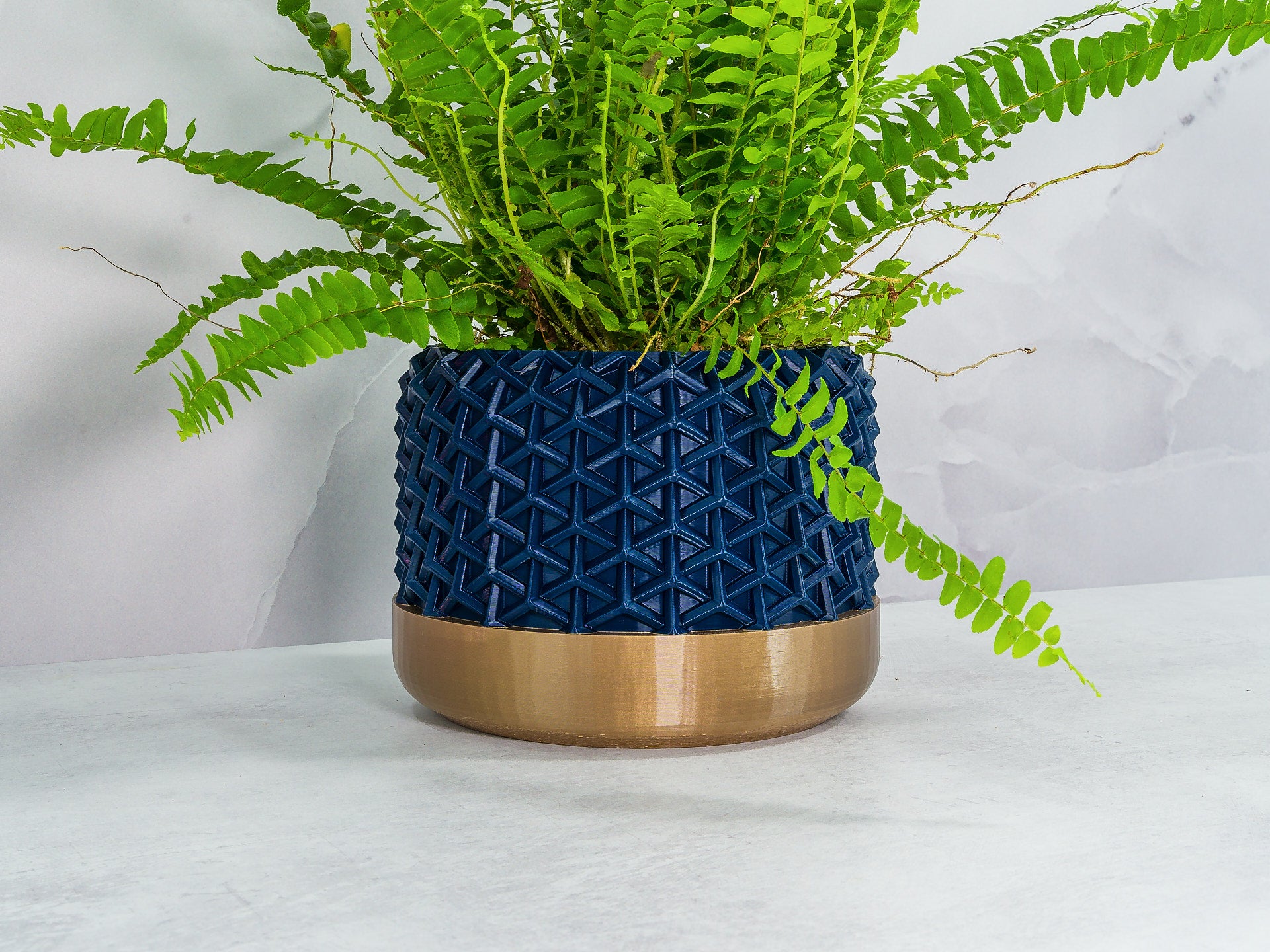 Angled with Fern: "Angled view of STELLAR planter with gold base and navy pattern, showcasing a fern plant."
