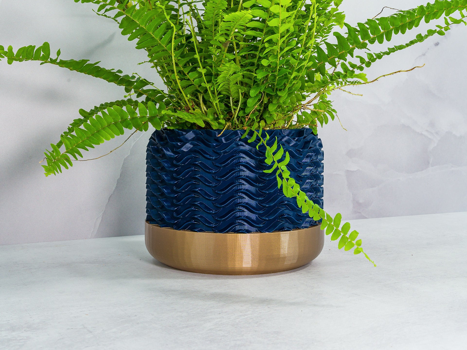 Angled with Fern: "Angled view of TIDAL planter with gold base and navy pattern, showcasing a fern plant."
