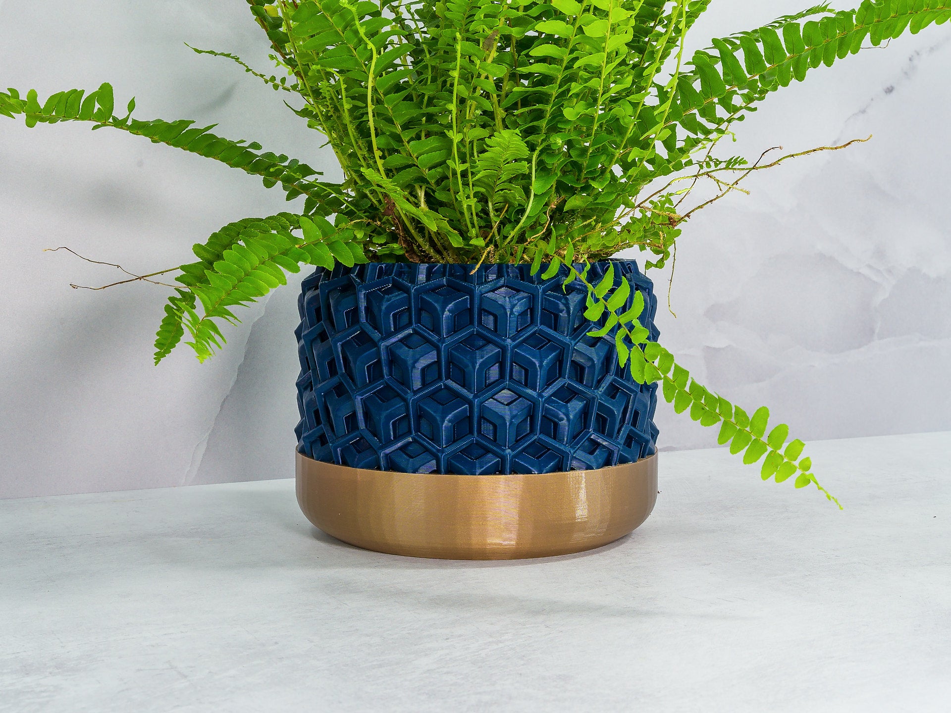 Angled with Fern: "Angled view of TRANSFORM planter with gold base and navy pattern, showcasing a fern plant."
