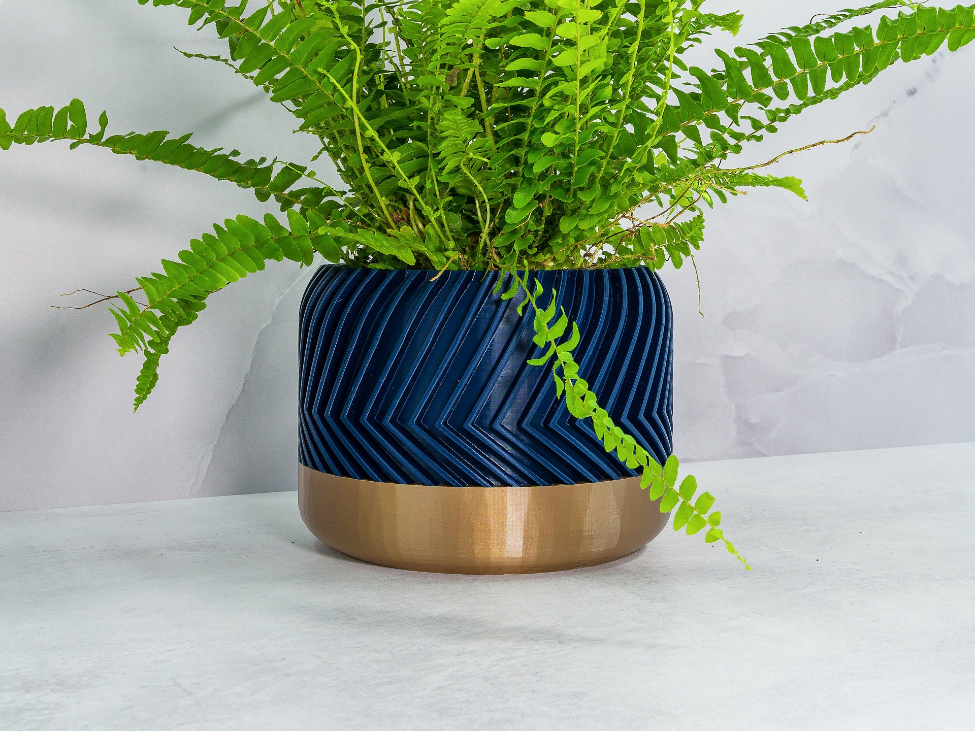 Angled with Fern: "Angled view of TREAD planter with gold base and navy pattern, showcasing a fern plant."
