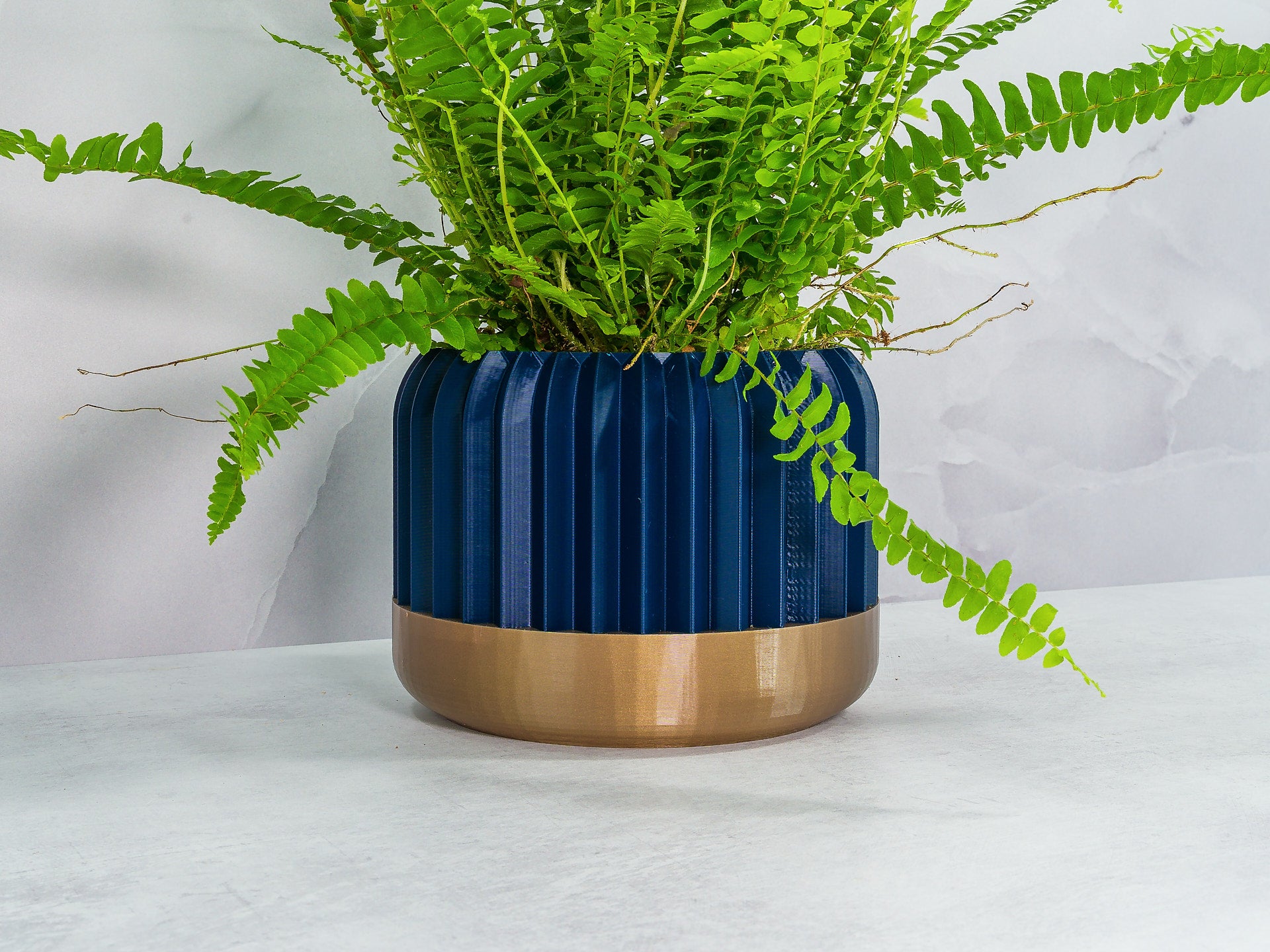 Angled with Fern: "Angled view of TRILINEAR planter with gold base and navy pattern, showcasing a fern plant."
