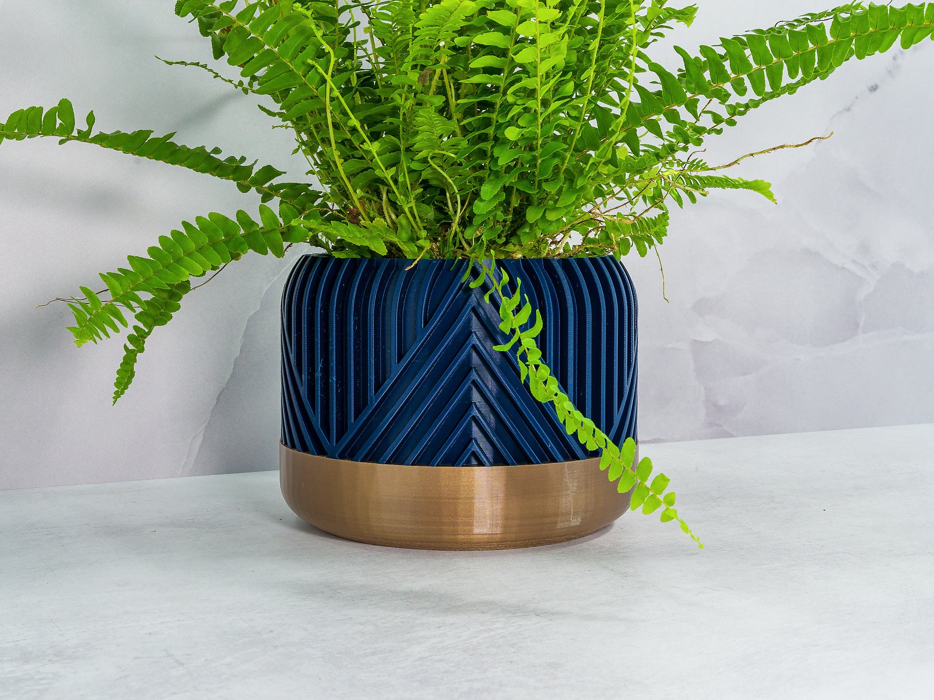 Angled with Fern: "Angled view of VERTI planter with gold base and navy pattern, showcasing a fern plant."
